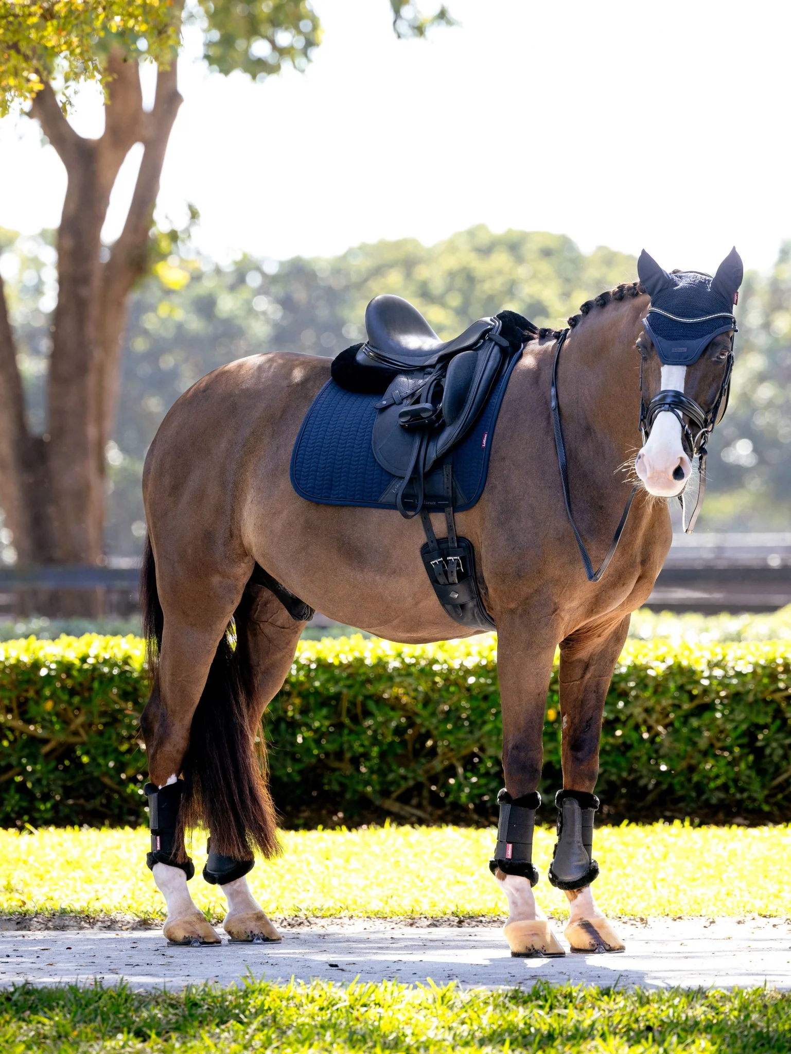 Lemieux Essence Dressage Square Pad
