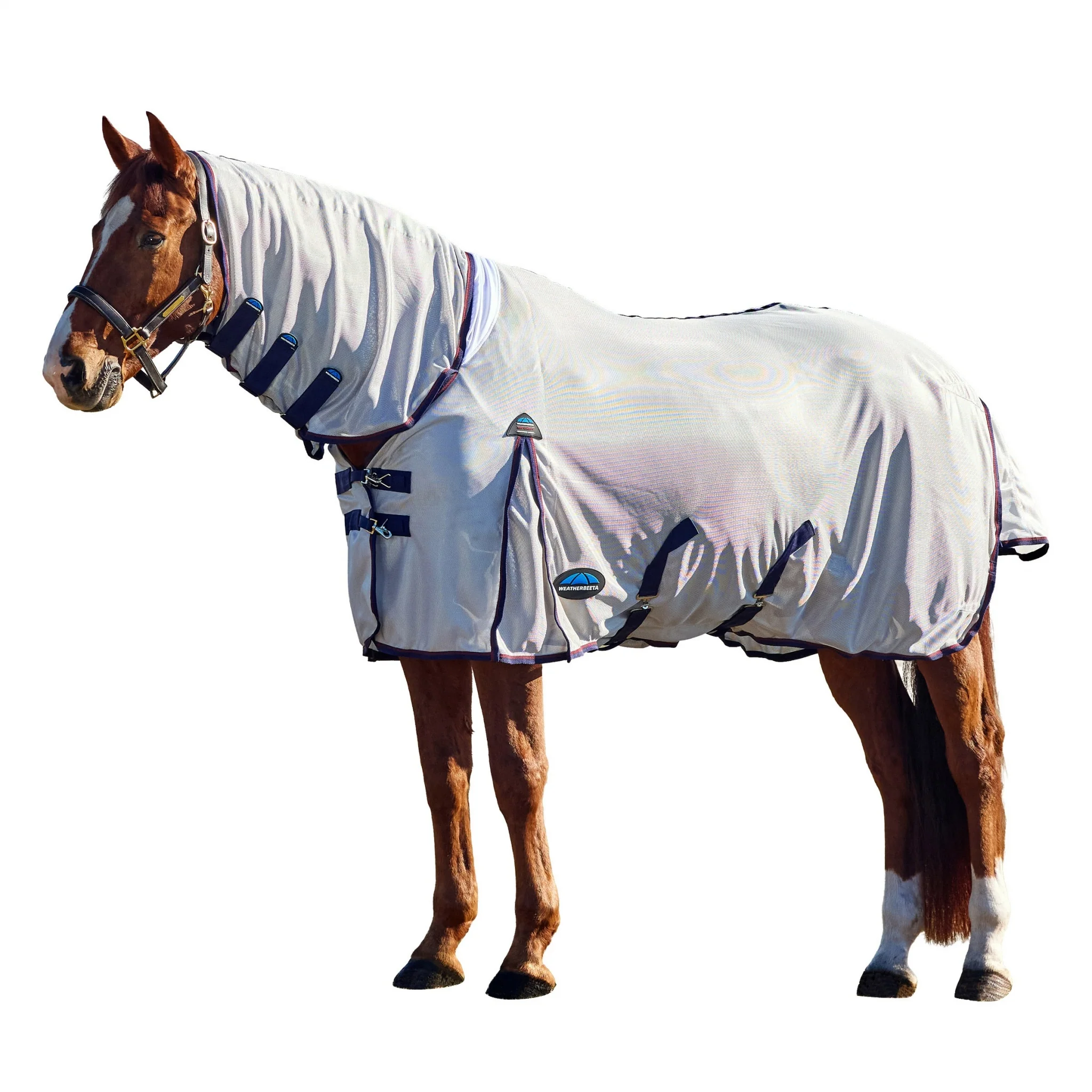 10426-weatherbeeta-comfitec-airflow-fly-sheet-combo-neck-1.webp Weatherbeeta ComFiTec Airflow Fly Sheet Combo Neck