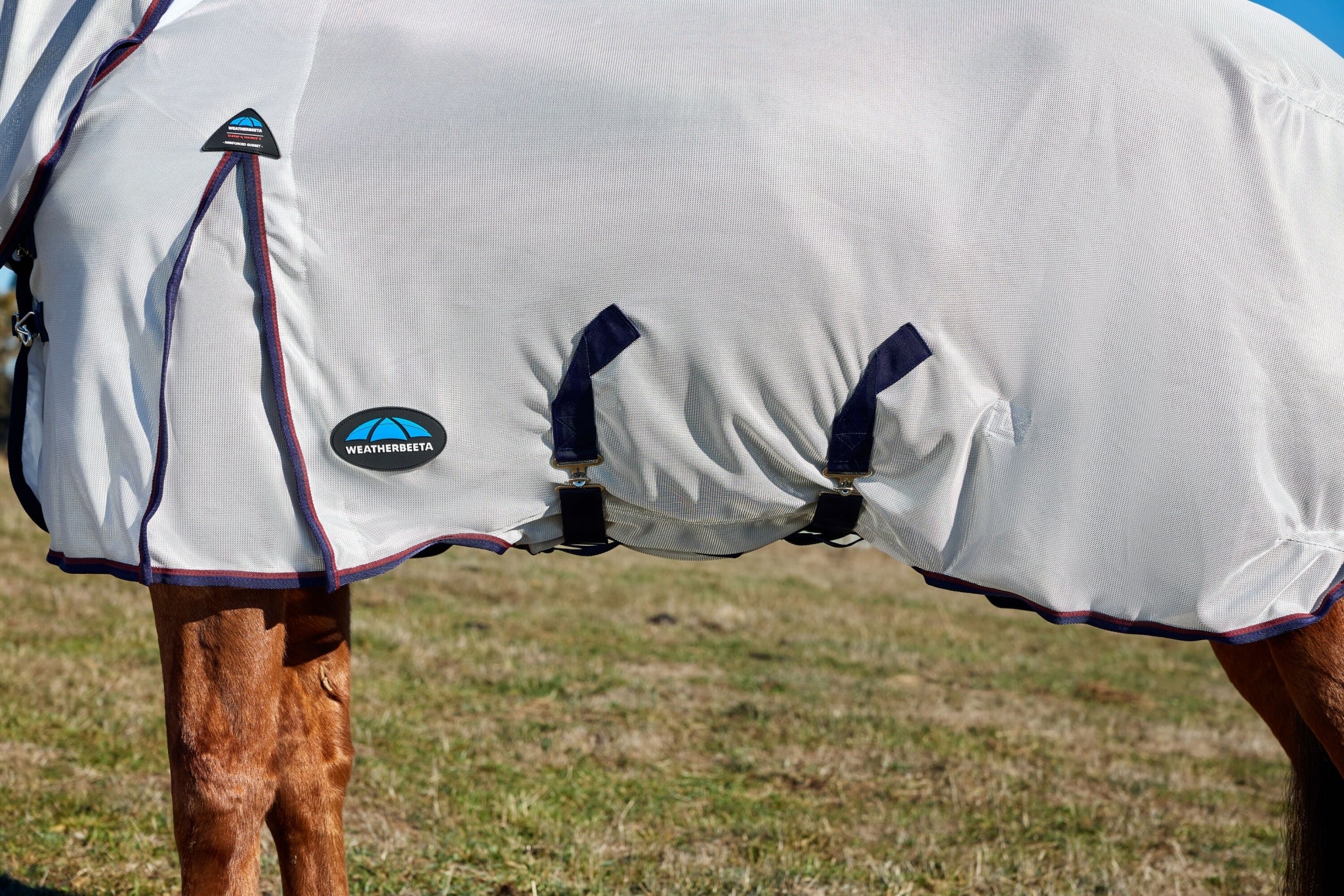 10426-weatherbeeta-comfitec-airflow-fly-sheet-combo-neck-10.jpg Weatherbeeta ComFiTec Airflow Fly Sheet Combo Neck