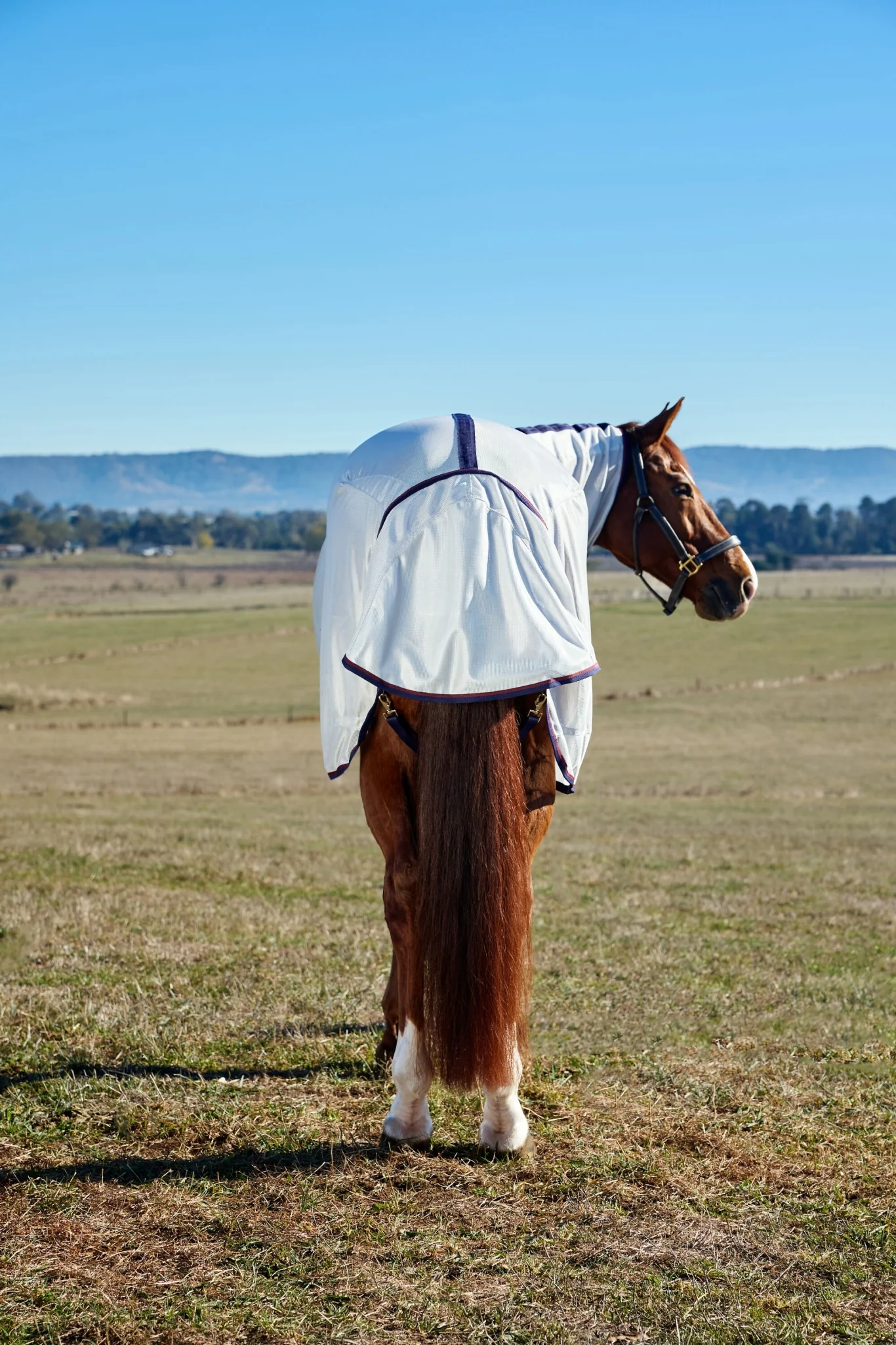 10426-weatherbeeta-comfitec-airflow-fly-sheet-combo-neck-11.webp Weatherbeeta ComFiTec Airflow Fly Sheet Combo Neck