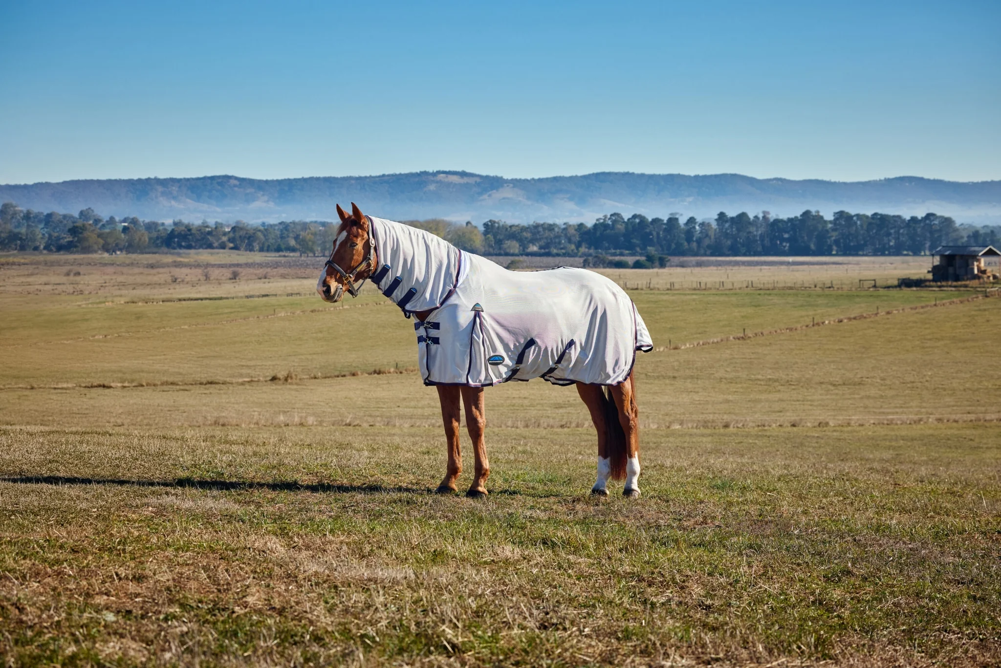 10426-weatherbeeta-comfitec-airflow-fly-sheet-combo-neck-2.webp Weatherbeeta ComFiTec Airflow Fly Sheet Combo Neck