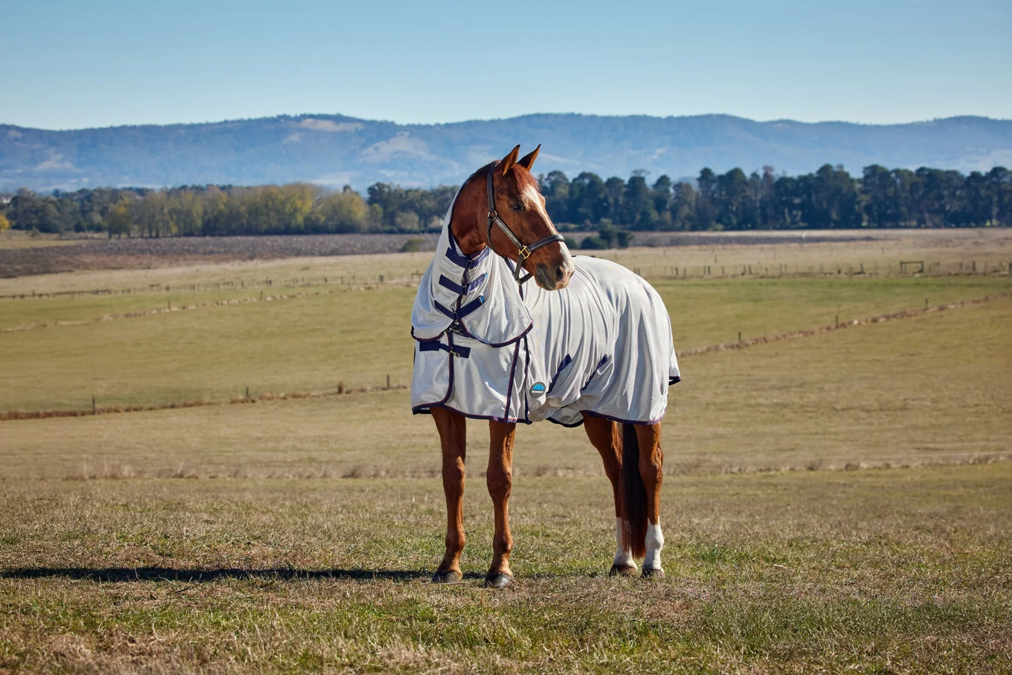 10426-weatherbeeta-comfitec-airflow-fly-sheet-combo-neck-3.webp Weatherbeeta ComFiTec Airflow Fly Sheet Combo Neck