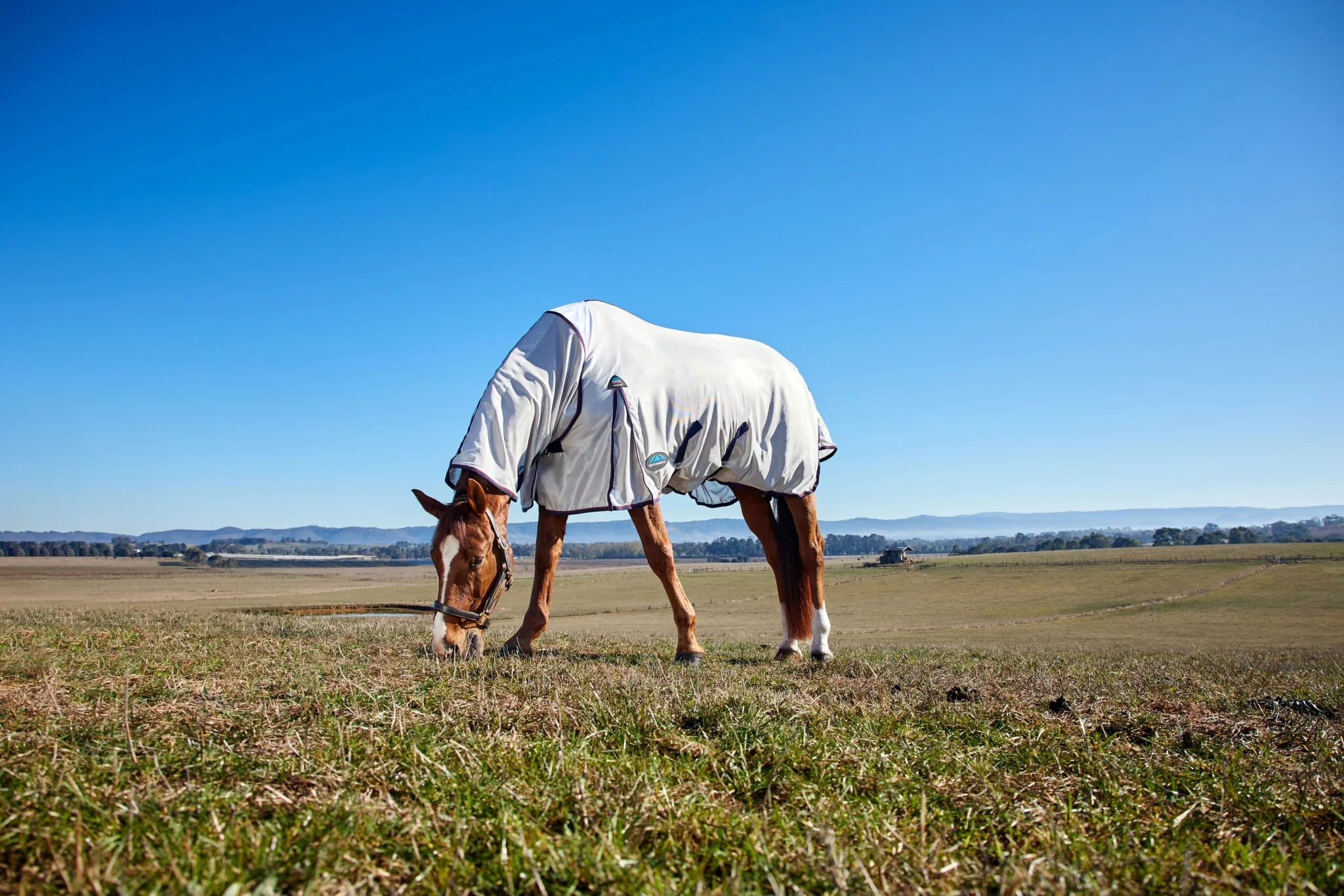 10426-weatherbeeta-comfitec-airflow-fly-sheet-combo-neck-4.webp Weatherbeeta ComFiTec Airflow Fly Sheet Combo Neck