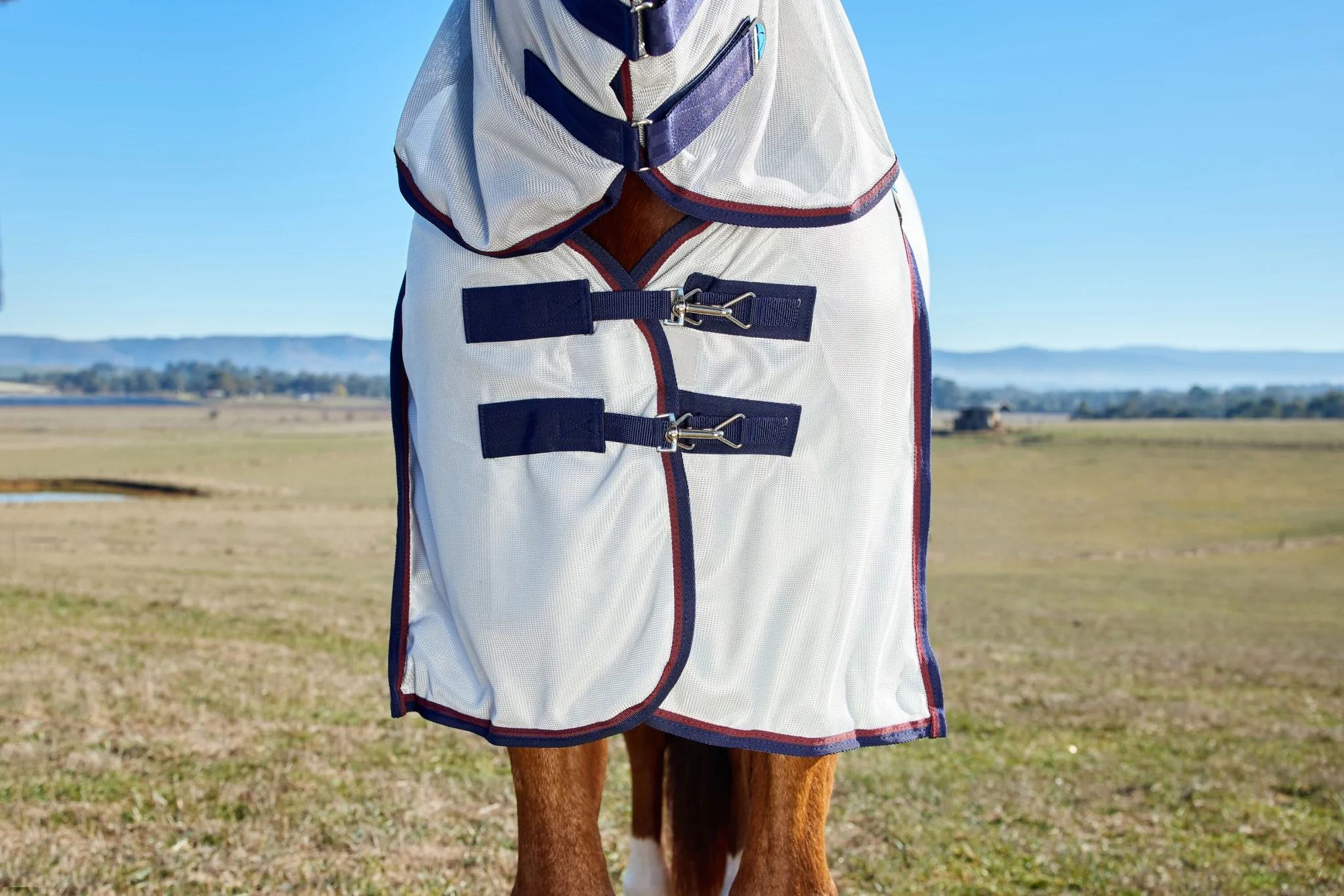 10426-weatherbeeta-comfitec-airflow-fly-sheet-combo-neck-5.webp Weatherbeeta ComFiTec Airflow Fly Sheet Combo Neck