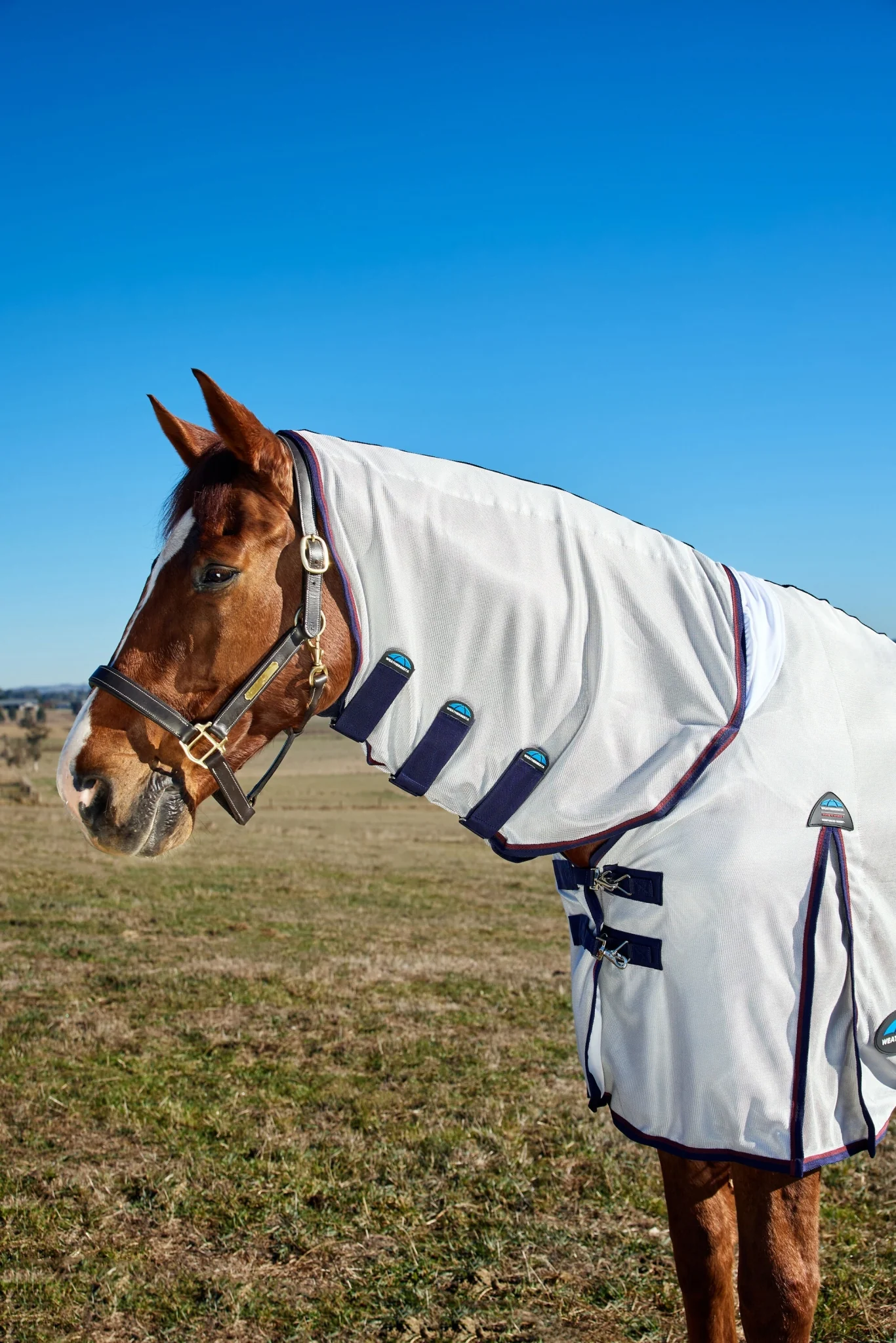 10426-weatherbeeta-comfitec-airflow-fly-sheet-combo-neck-8.webp Weatherbeeta ComFiTec Airflow Fly Sheet Combo Neck