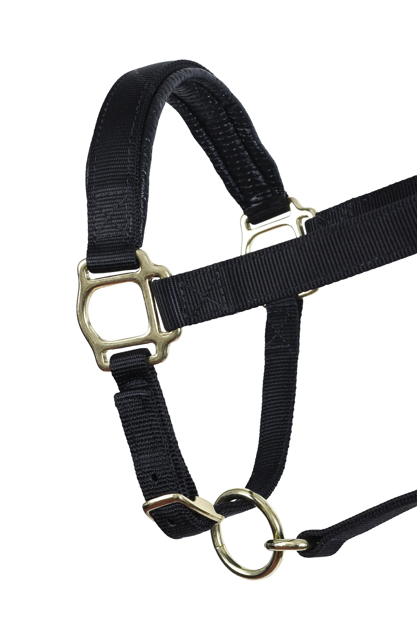 Perri's Neoprene/Nylon Halter