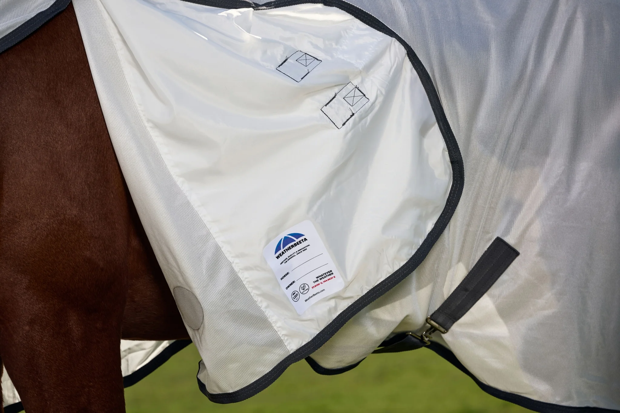 10743-weatherbeeta-comfitec-tyro-fly-sheet-combo-10.webp Weatherbeeta ComFiTec Tyro Fly Sheet Combo