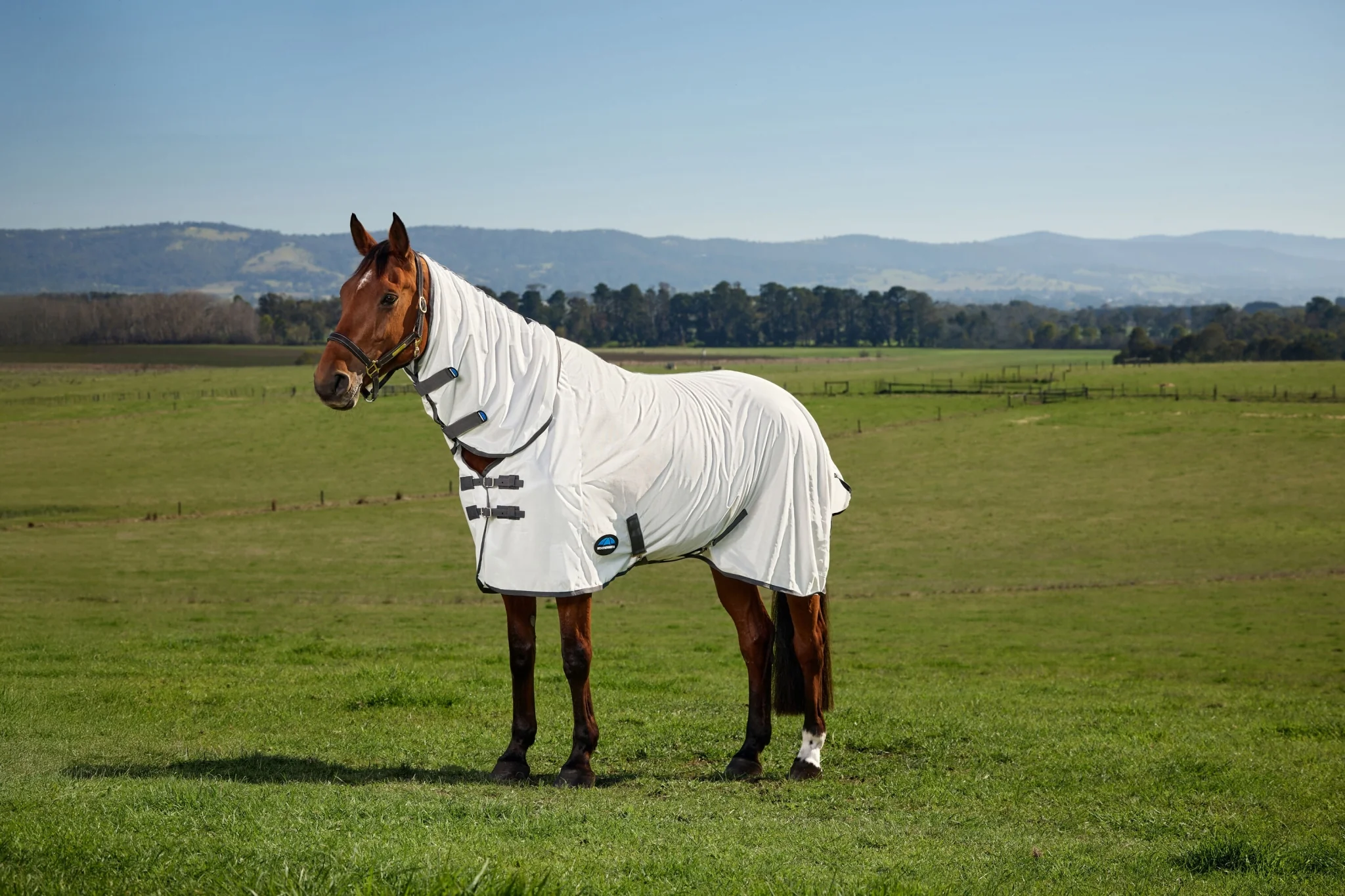 10743-weatherbeeta-comfitec-tyro-fly-sheet-combo-2.webp Weatherbeeta ComFiTec Tyro Fly Sheet Combo