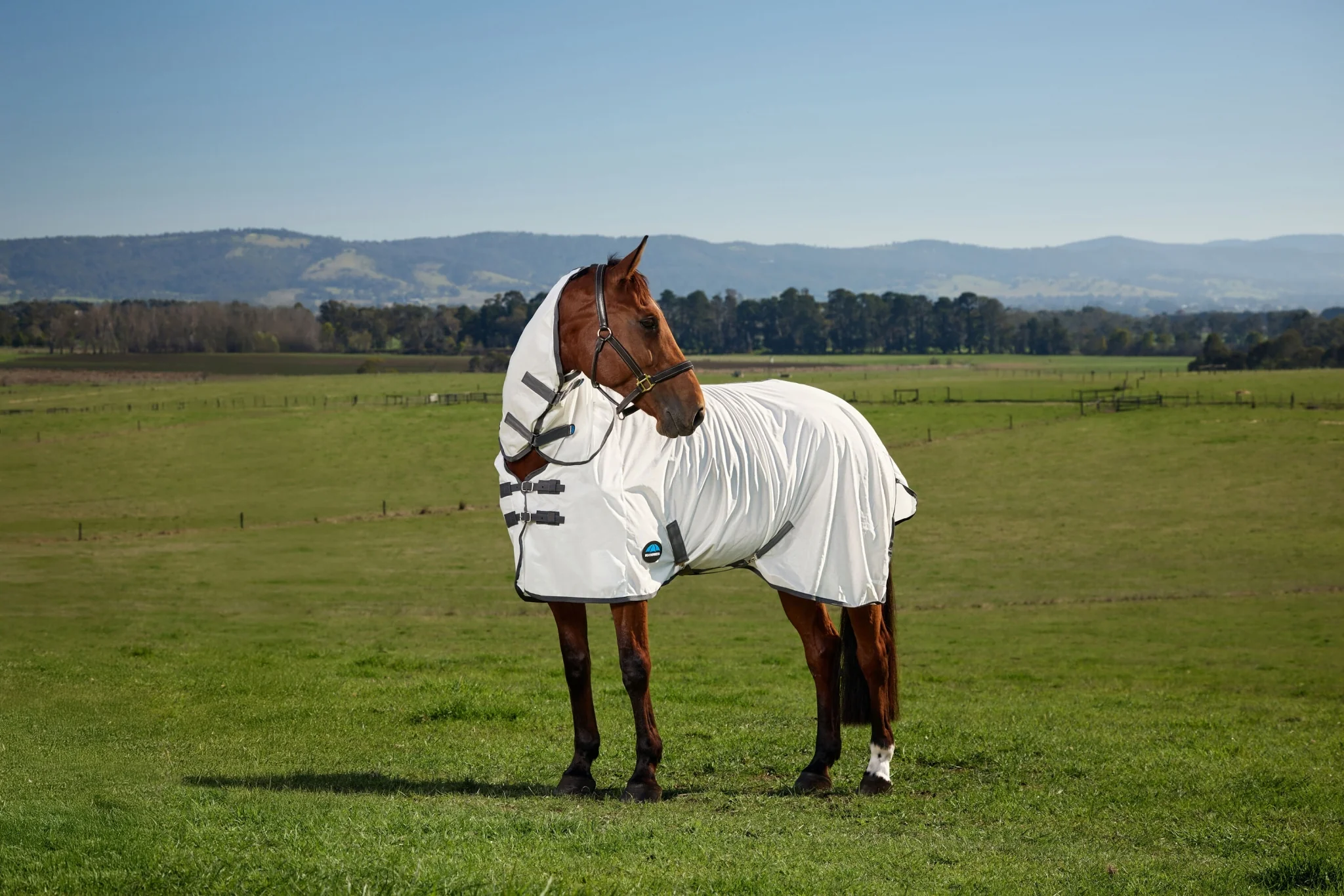 10743-weatherbeeta-comfitec-tyro-fly-sheet-combo-3.webp Weatherbeeta ComFiTec Tyro Fly Sheet Combo