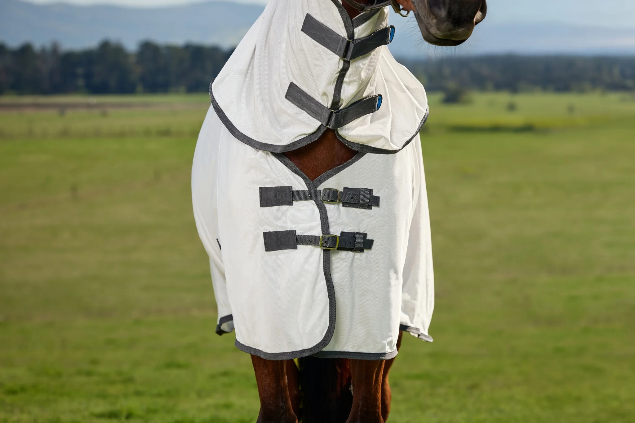 10743-weatherbeeta-comfitec-tyro-fly-sheet-combo-5.webp Weatherbeeta ComFiTec Tyro Fly Sheet Combo