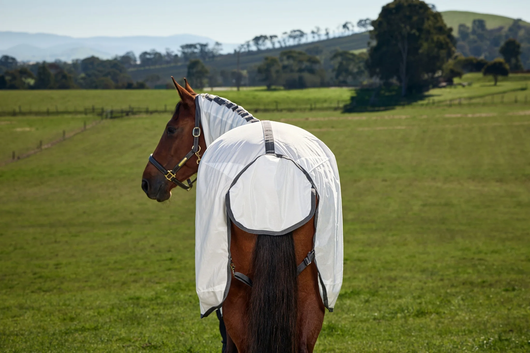 10743-weatherbeeta-comfitec-tyro-fly-sheet-combo-8.webp Weatherbeeta ComFiTec Tyro Fly Sheet Combo