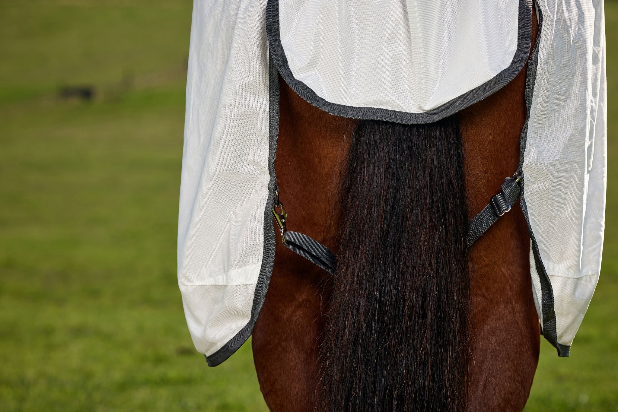 10743-weatherbeeta-comfitec-tyro-fly-sheet-combo-9.jpg Weatherbeeta ComFiTec Tyro Fly Sheet Combo