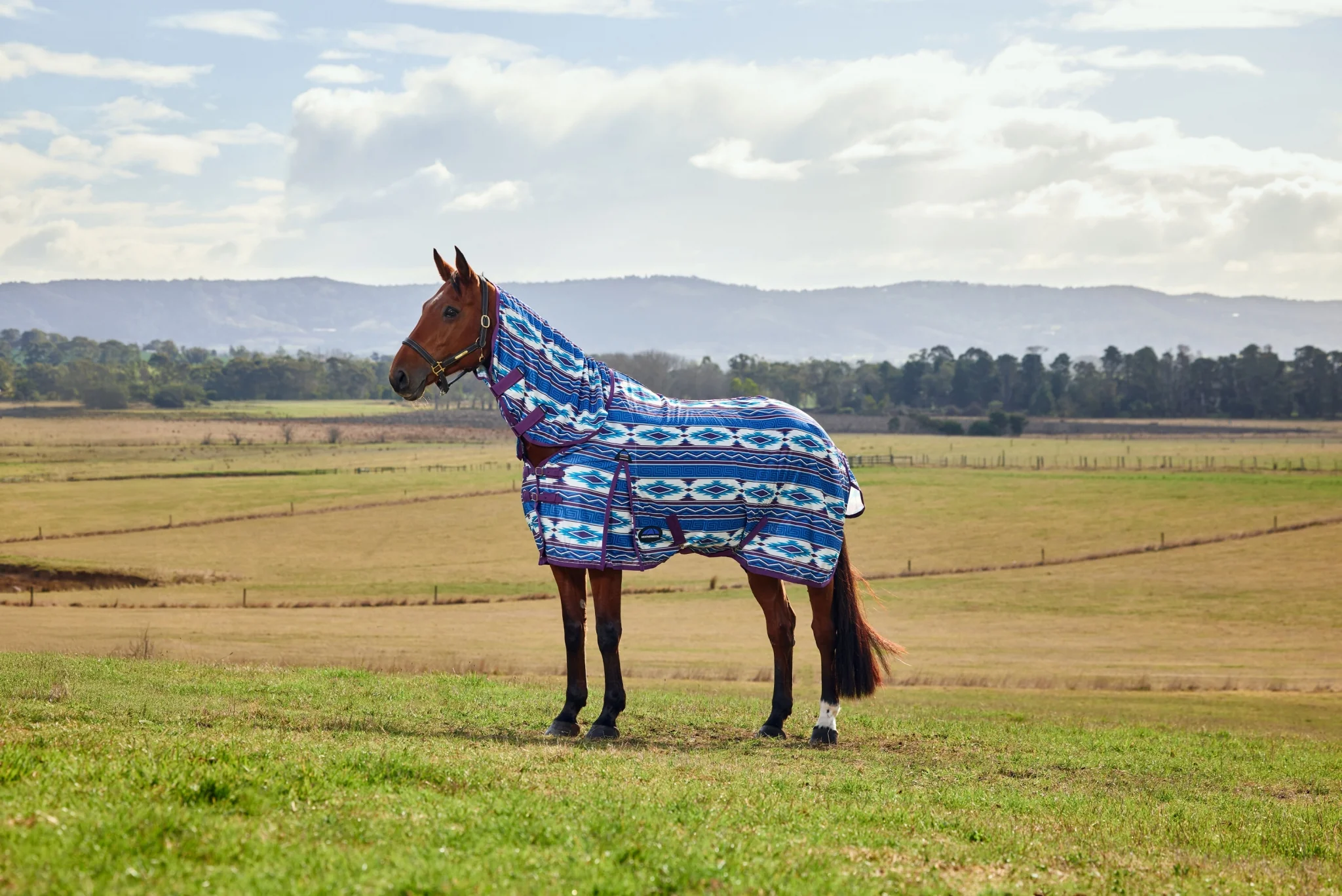 10787-weatherbeeta-comfitec-essential-combo-neck-fly-sheet-2.webp WeatherBeeta ComFiTec Essential Combo Neck Fly Sheet