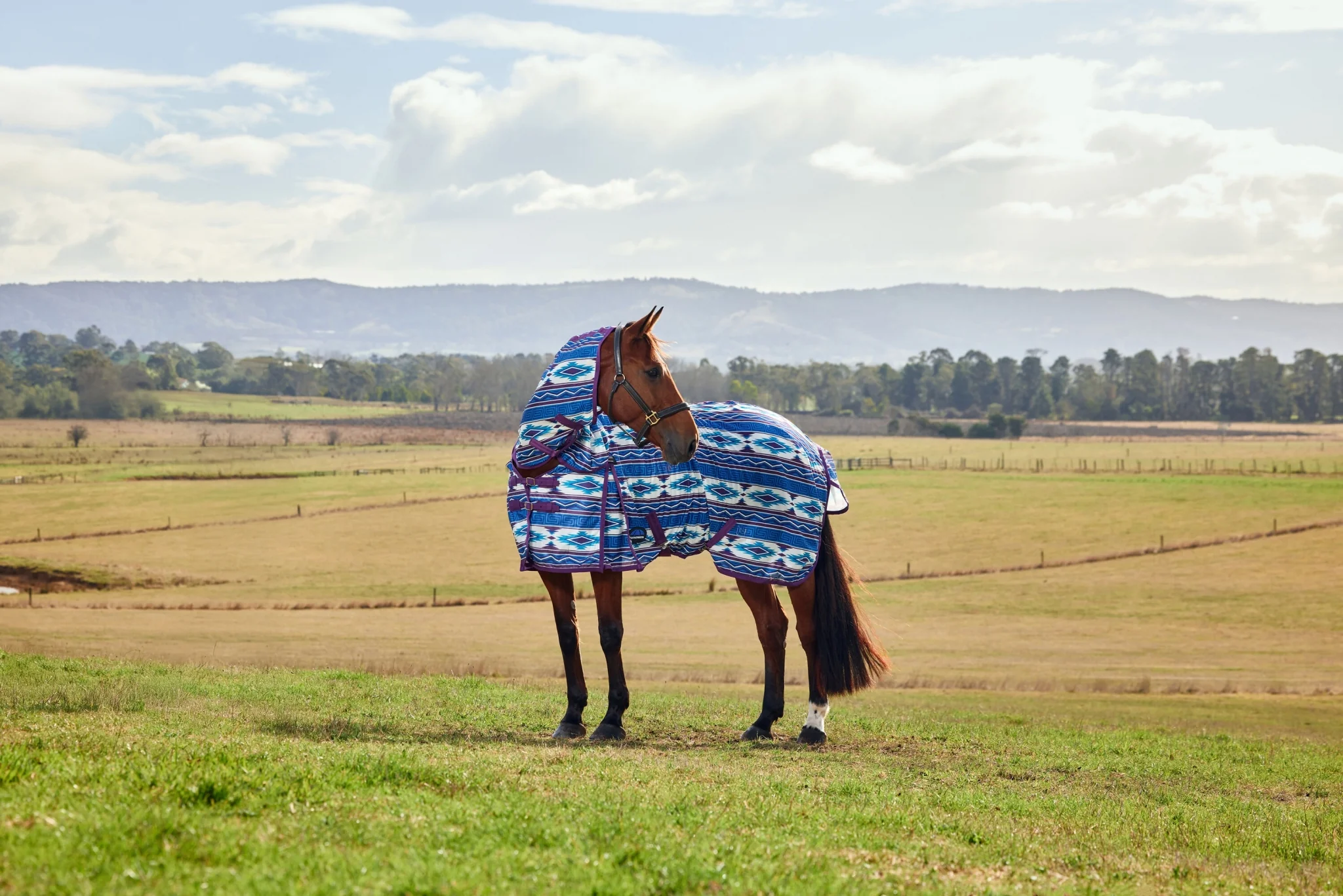 10787-weatherbeeta-comfitec-essential-combo-neck-fly-sheet-3.webp WeatherBeeta ComFiTec Essential Combo Neck Fly Sheet