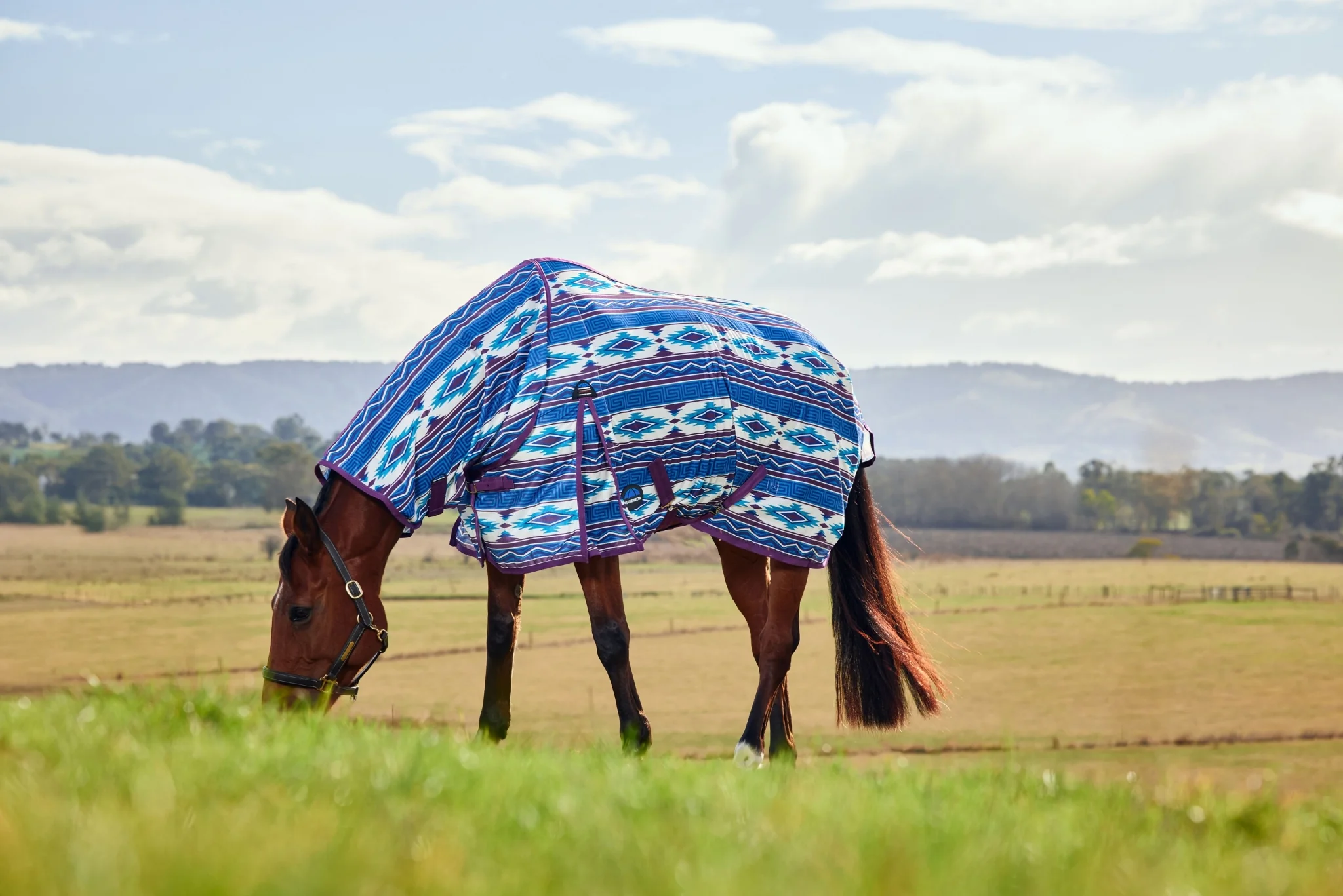 10787-weatherbeeta-comfitec-essential-combo-neck-fly-sheet-4.webp WeatherBeeta ComFiTec Essential Combo Neck Fly Sheet