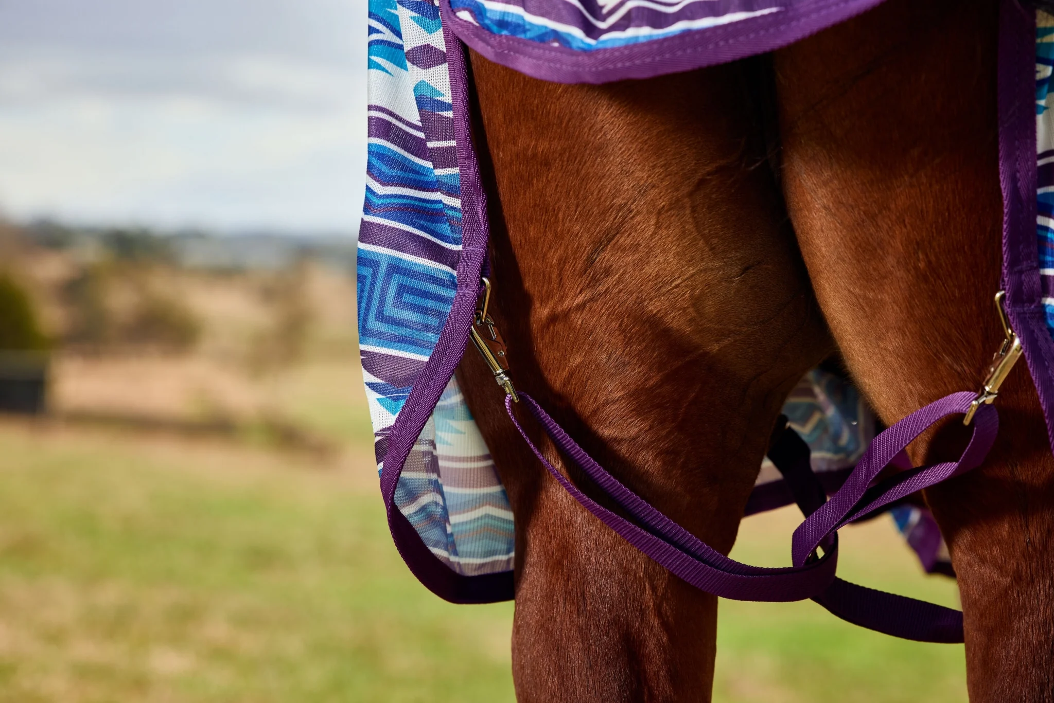 10787-weatherbeeta-comfitec-essential-combo-neck-fly-sheet-5.webp WeatherBeeta ComFiTec Essential Combo Neck Fly Sheet