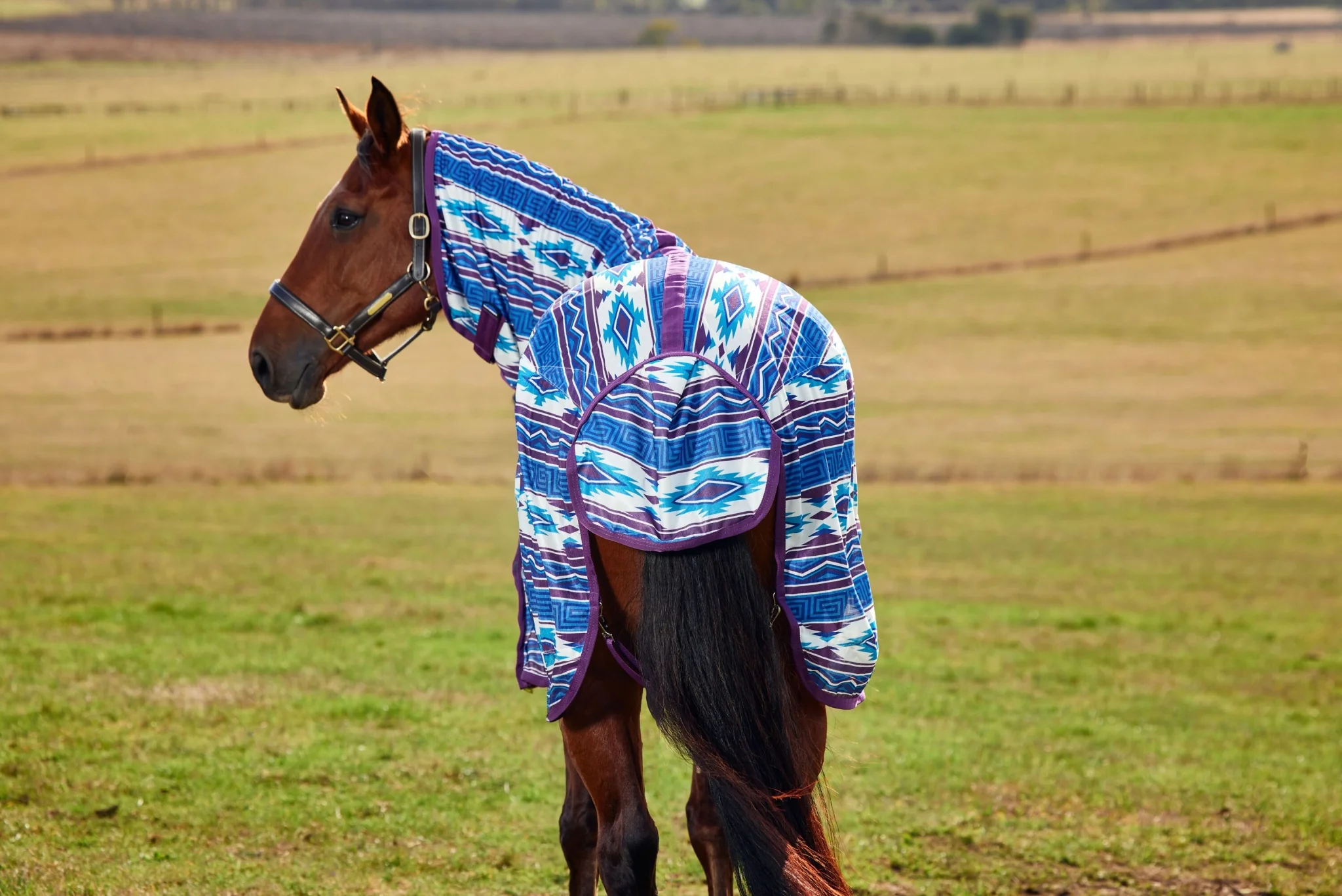 10787-weatherbeeta-comfitec-essential-combo-neck-fly-sheet-6.webp WeatherBeeta ComFiTec Essential Combo Neck Fly Sheet