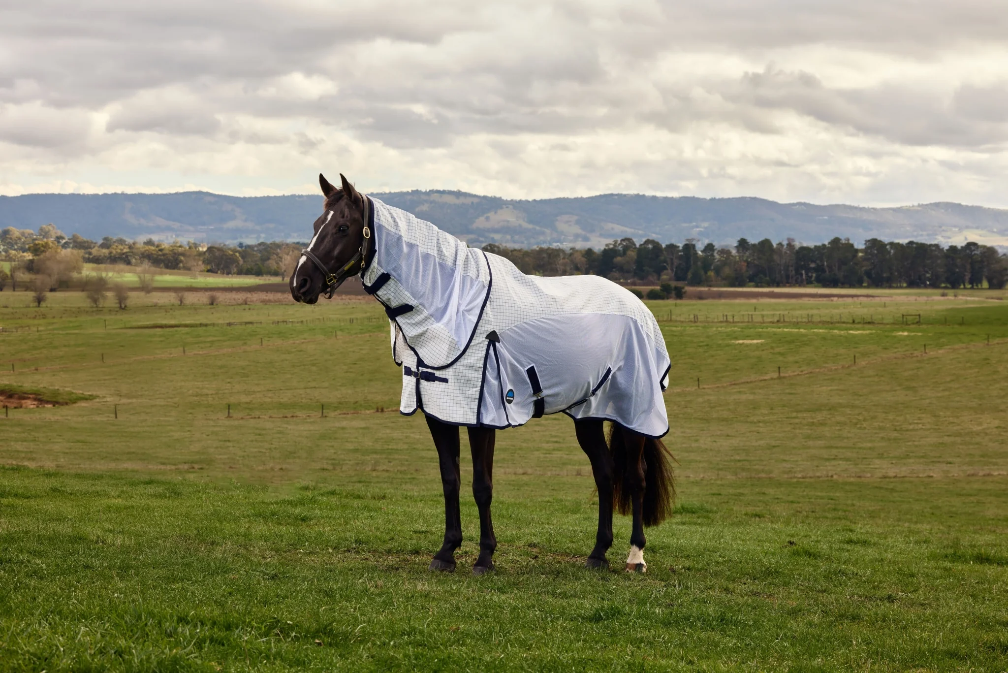Weatherbeeta Airstream Detach-A-Neck