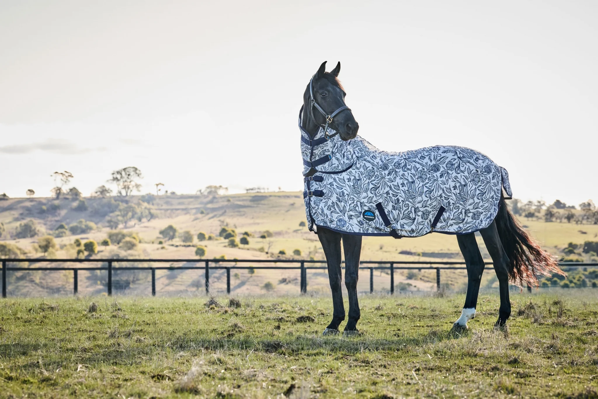 Weatherbeeta ComFiTec Limited Edition Fly Sheet Combo