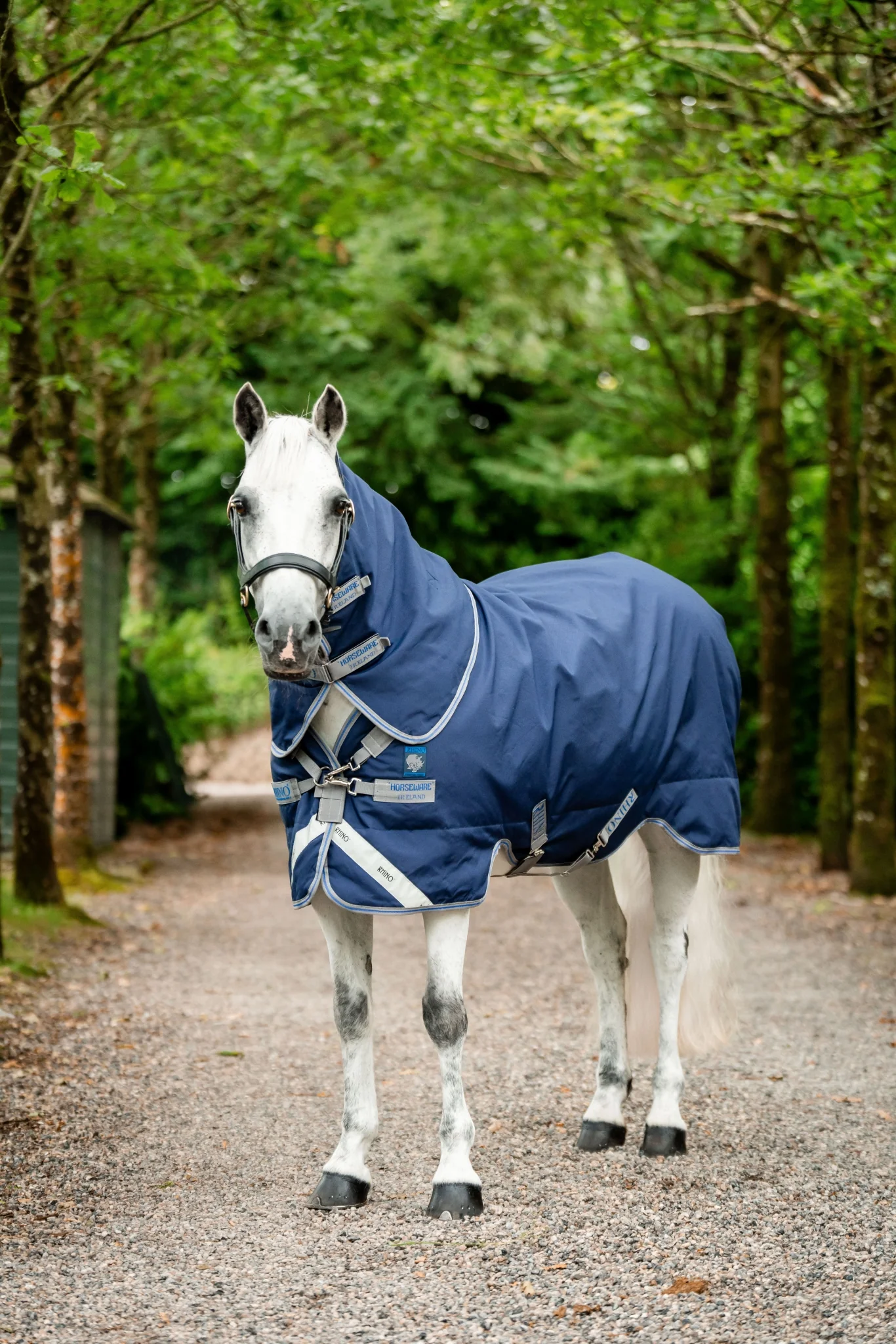 Rhino Plus Pony Turnout (250g Medium)