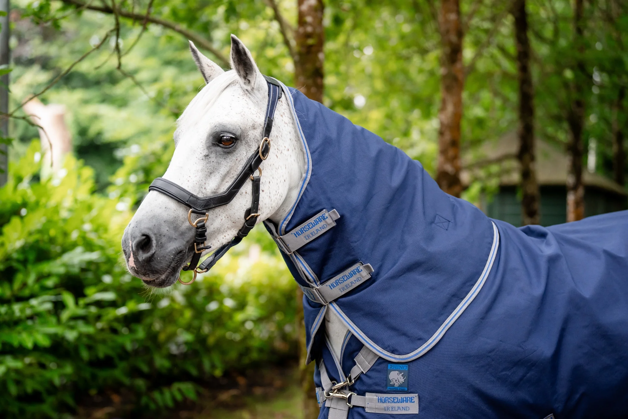 Rhino Plus Pony Turnout (250g Medium)