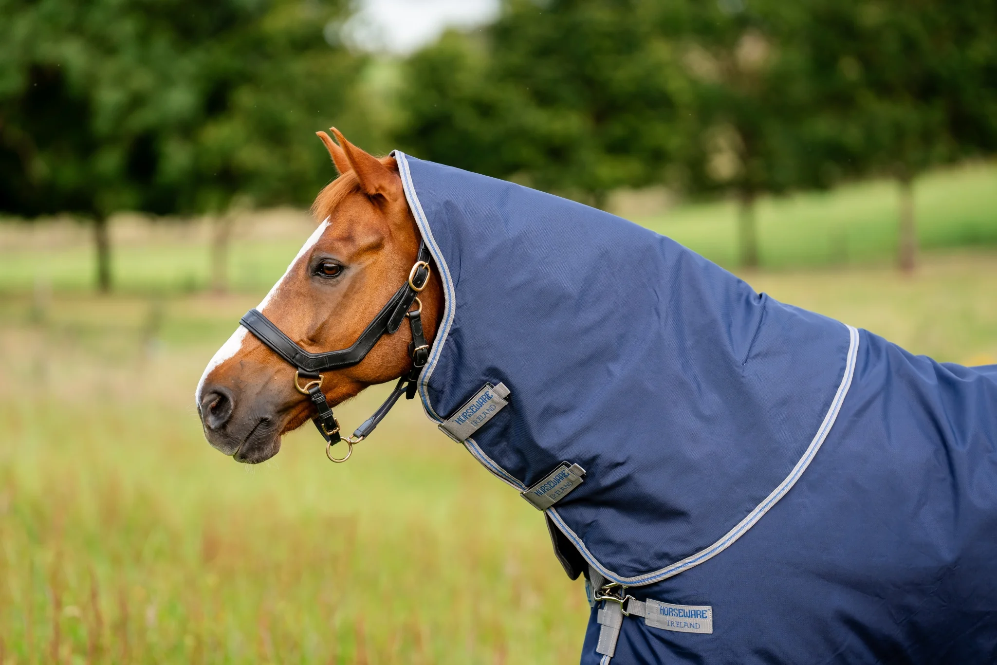 12019-rhino-turnout-hood-0g-1.webp Rhino Turnout Hood 0g
