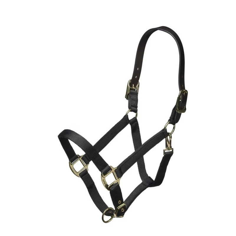 ARMA Nylon Halter Leather Hd Strap