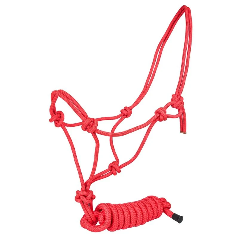 12983-tabelo-cowboy-rope-halter-with-lead-12.webp Tabelo Cowboy Rope Halter with Lead