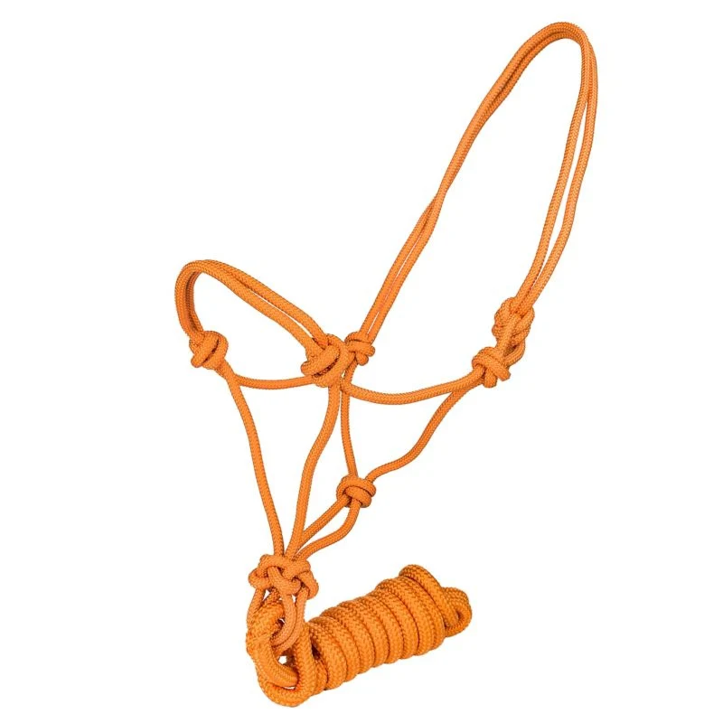 12983-tabelo-cowboy-rope-halter-with-lead-15.webp Tabelo Cowboy Rope Halter with Lead