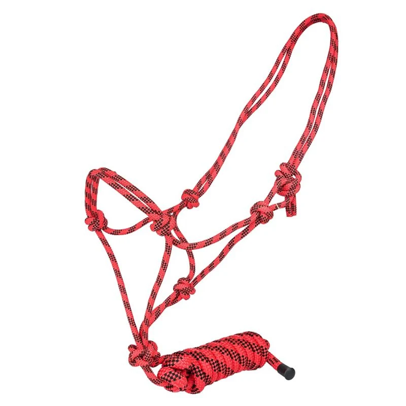 12983-tabelo-cowboy-rope-halter-with-lead-8.webp Tabelo Cowboy Rope Halter with Lead
