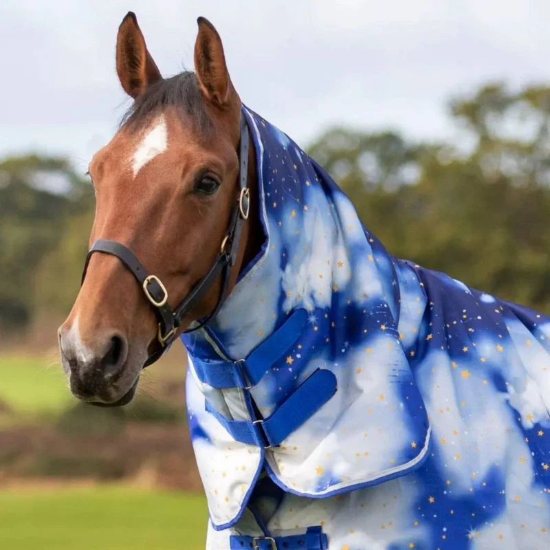 Shires Tempest Org 200g Hood