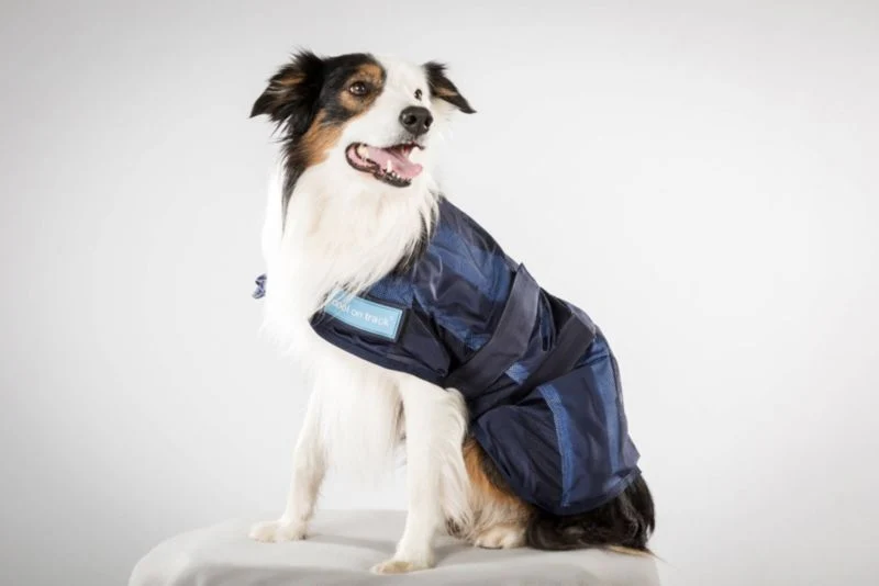 1331-back-on-track-cool-on-track-dog-coat-5.webp Back On Track Cool on Track Dog Coat