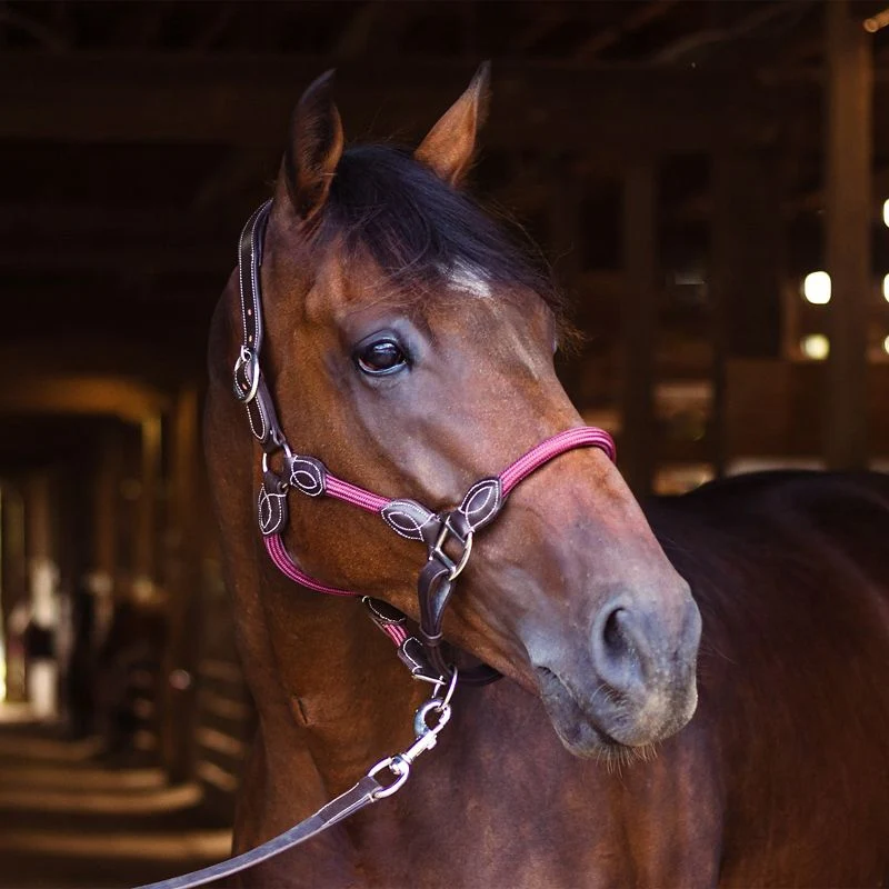 OEQ Leather Rope Halter