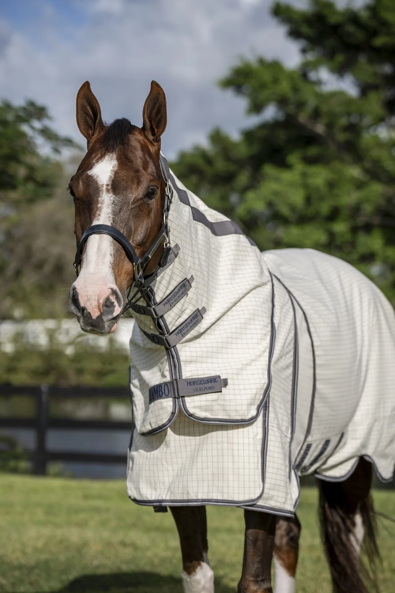 13536-rambo-optimo-supreme-summer-sheet-plus-2.webp Rambo Optimo Supreme Summer Sheet Plus