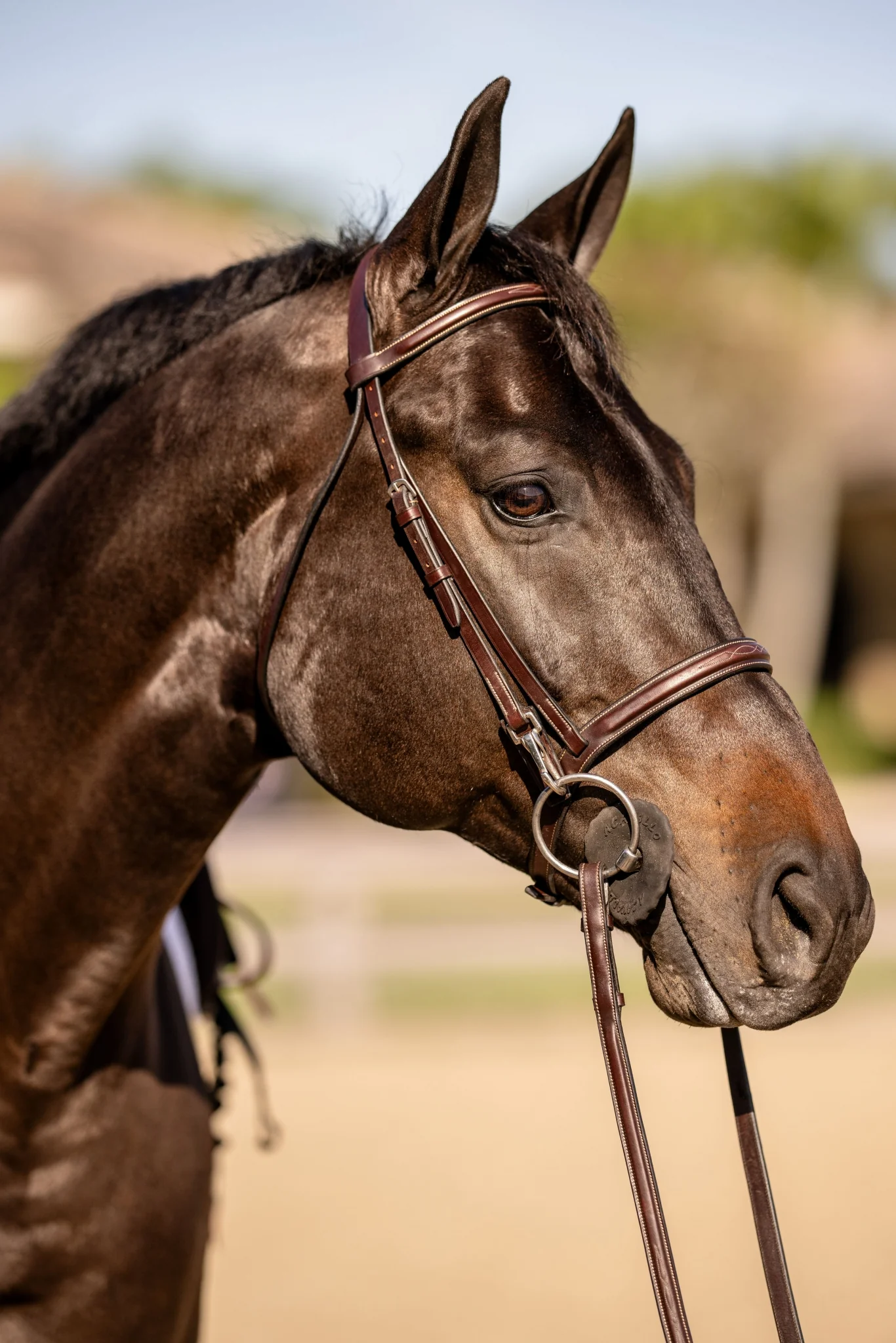 Huntley Equestrian Sedgwick Fancy Stitched Bridle with Cheek Clips and Reins