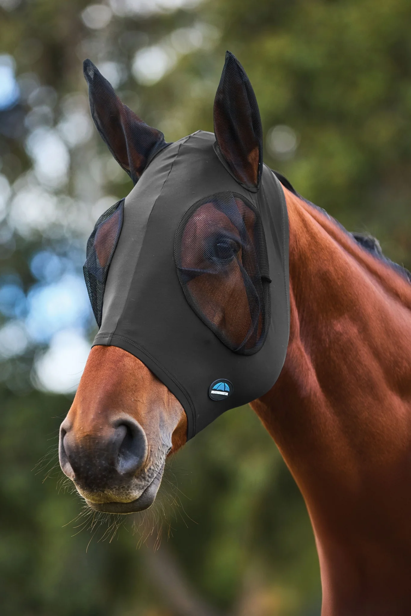 13845-weatherbeeta-comfitec-stretch-fly-mask-with-ears-10.webp Weatherbeeta ComFiTec Stretch Fly Mask with Ears