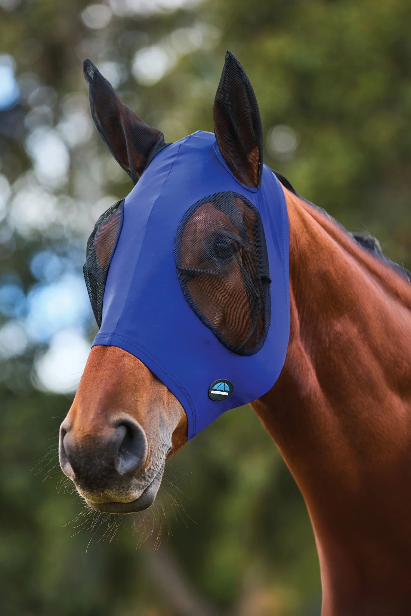 13845-weatherbeeta-comfitec-stretch-fly-mask-with-ears-11.webp Weatherbeeta ComFiTec Stretch Fly Mask with Ears
