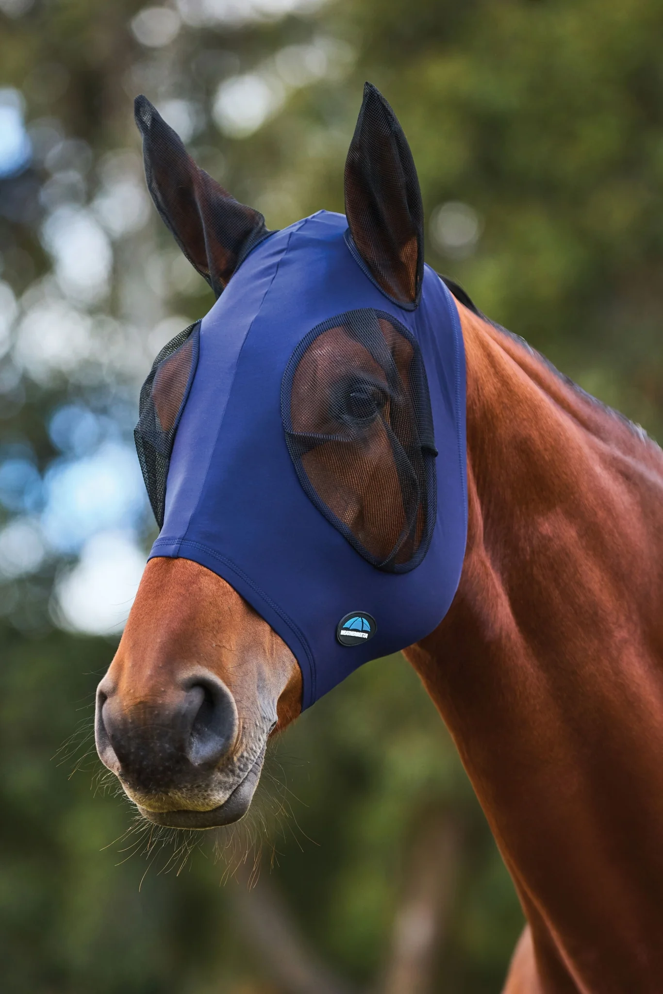13845-weatherbeeta-comfitec-stretch-fly-mask-with-ears-12.webp Weatherbeeta ComFiTec Stretch Fly Mask with Ears