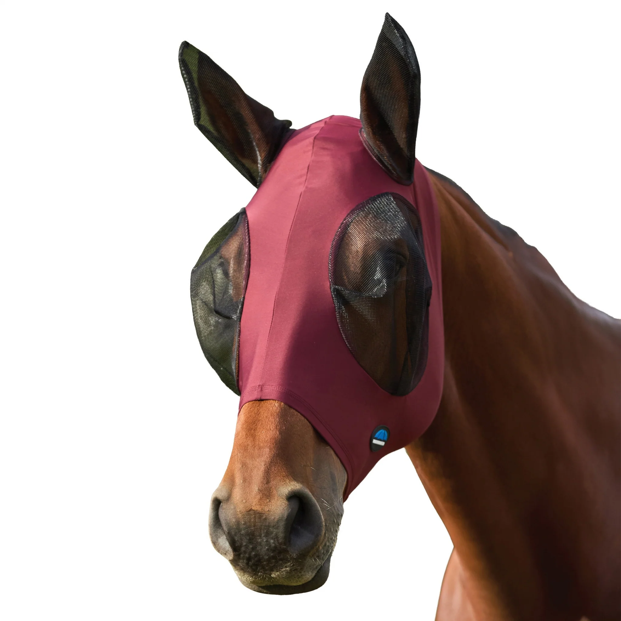 13845-weatherbeeta-comfitec-stretch-fly-mask-with-ears-2.webp Weatherbeeta ComFiTec Stretch Fly Mask with Ears