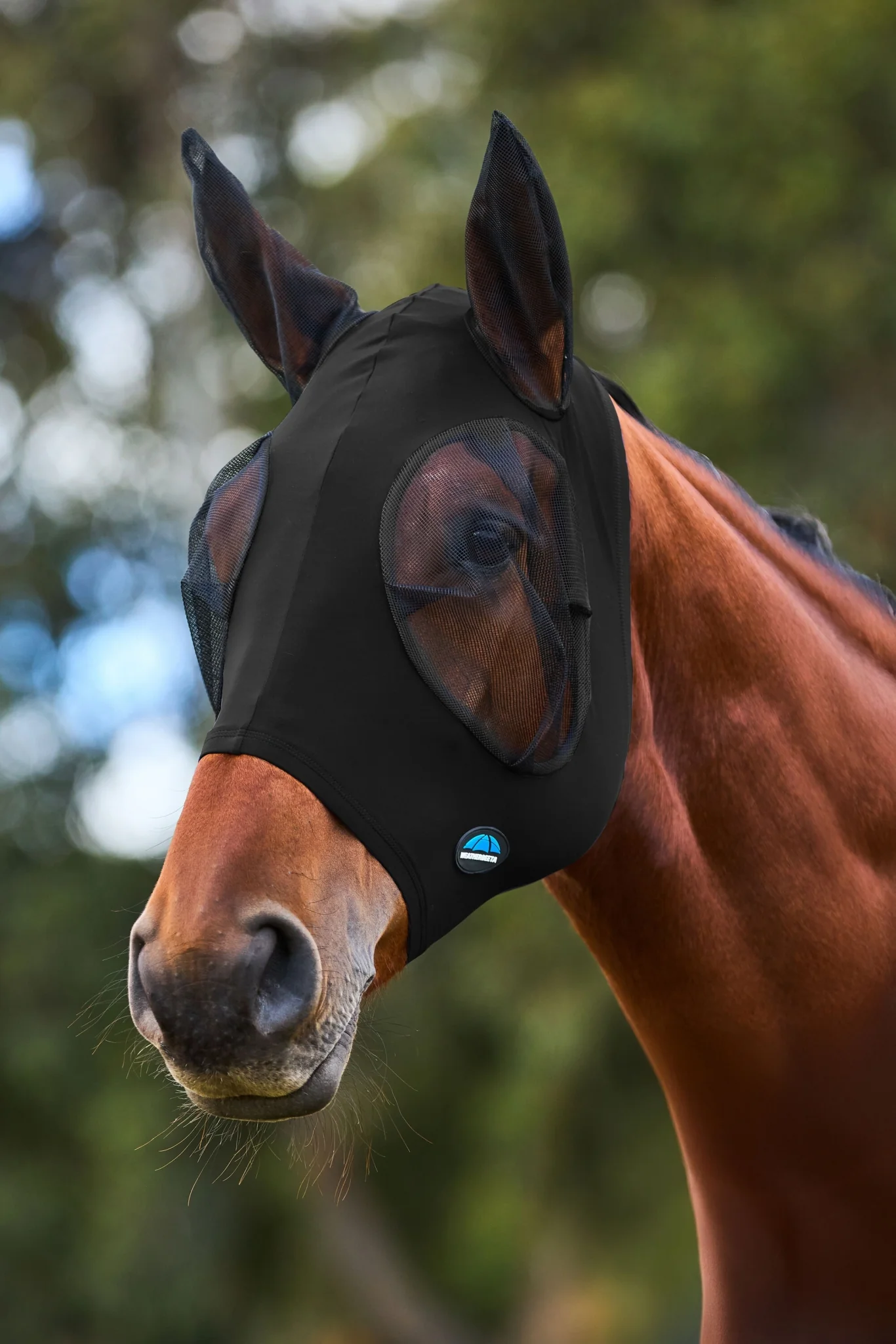 13845-weatherbeeta-comfitec-stretch-fly-mask-with-ears-8.webp Weatherbeeta ComFiTec Stretch Fly Mask with Ears
