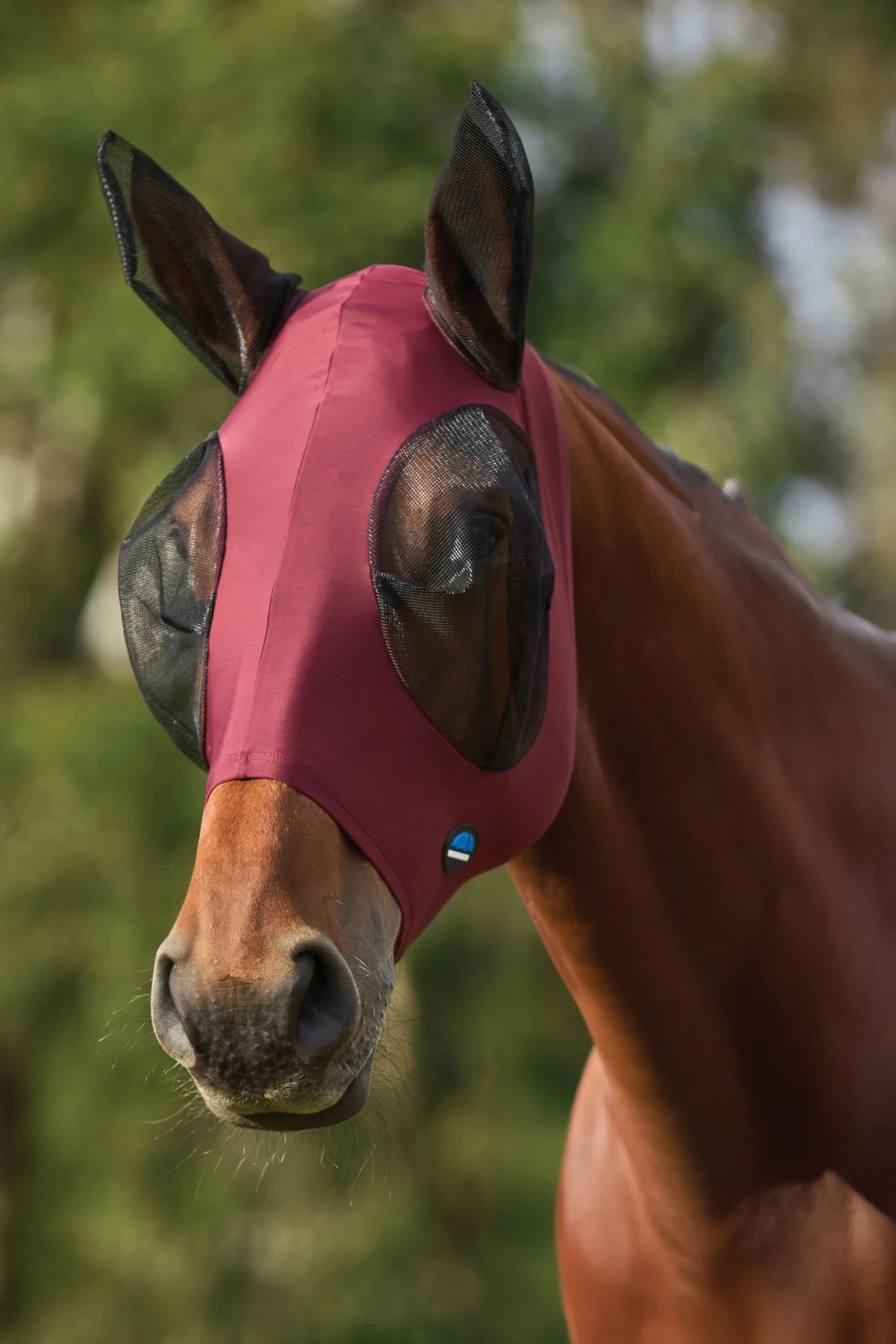 13845-weatherbeeta-comfitec-stretch-fly-mask-with-ears-9.webp Weatherbeeta ComFiTec Stretch Fly Mask with Ears