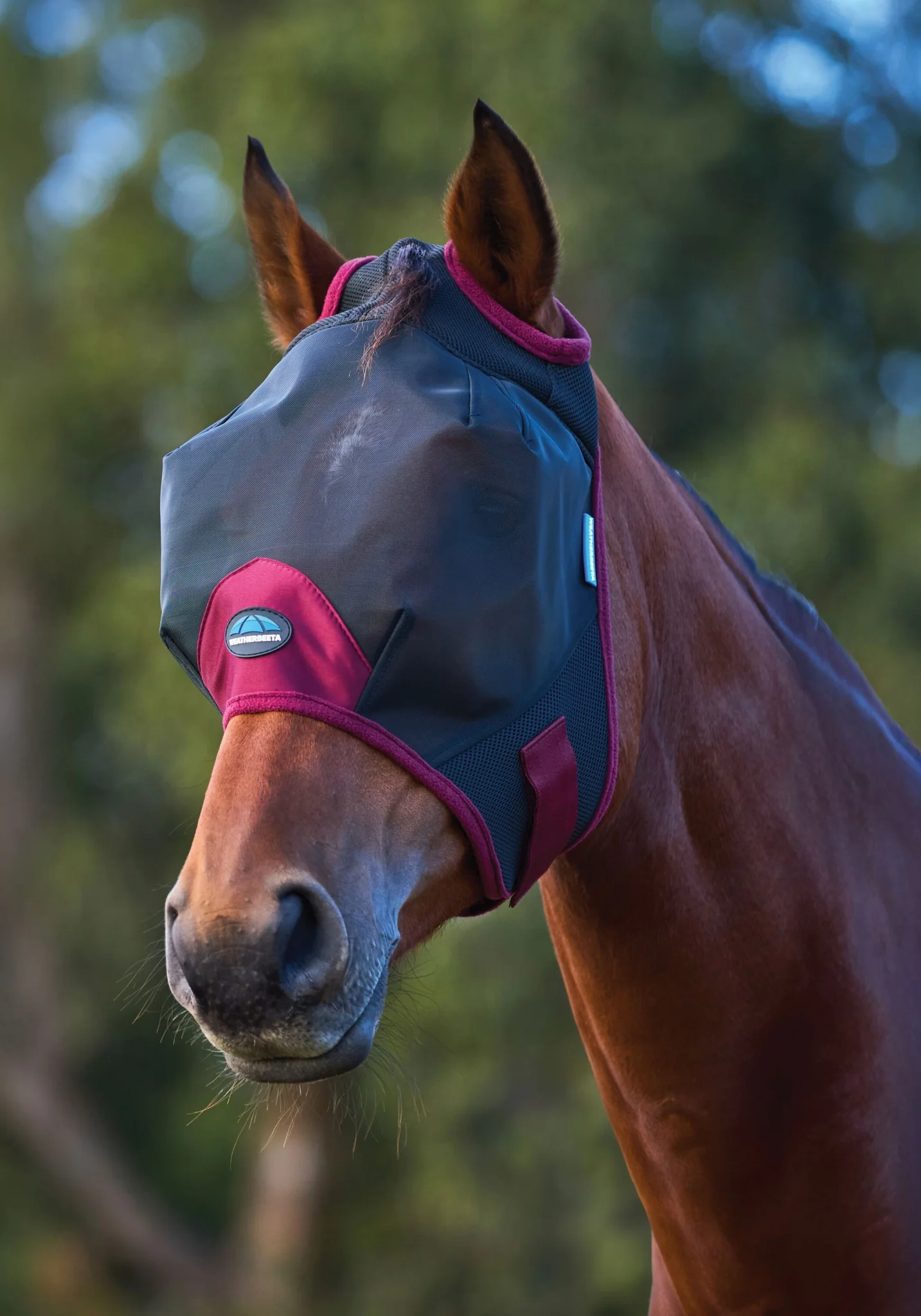 Weatherbeeta ComFiTec Fine Mesh Fly Mask