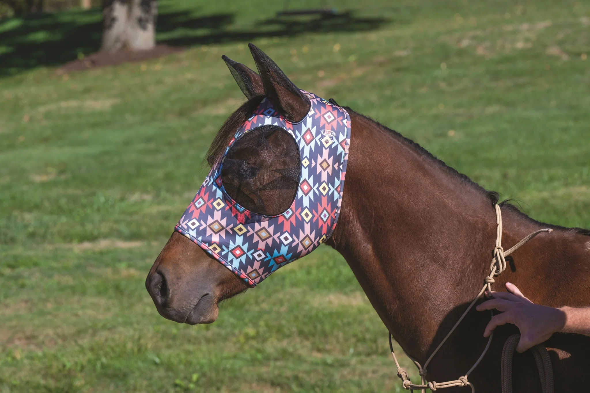 Weaver CoolAid Equine Lycra Fly Mask