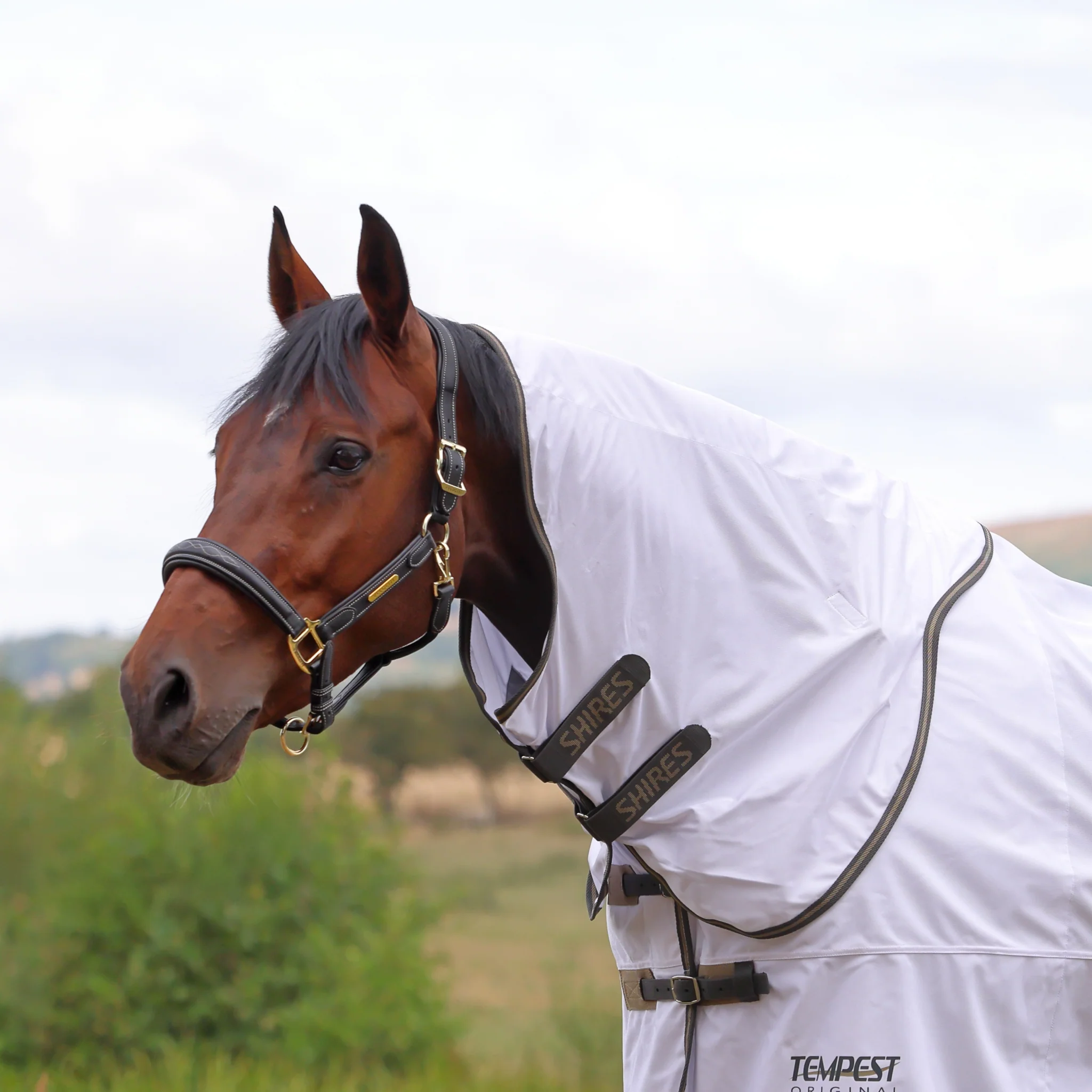 Shires Tempest Original Fly Neck Cover