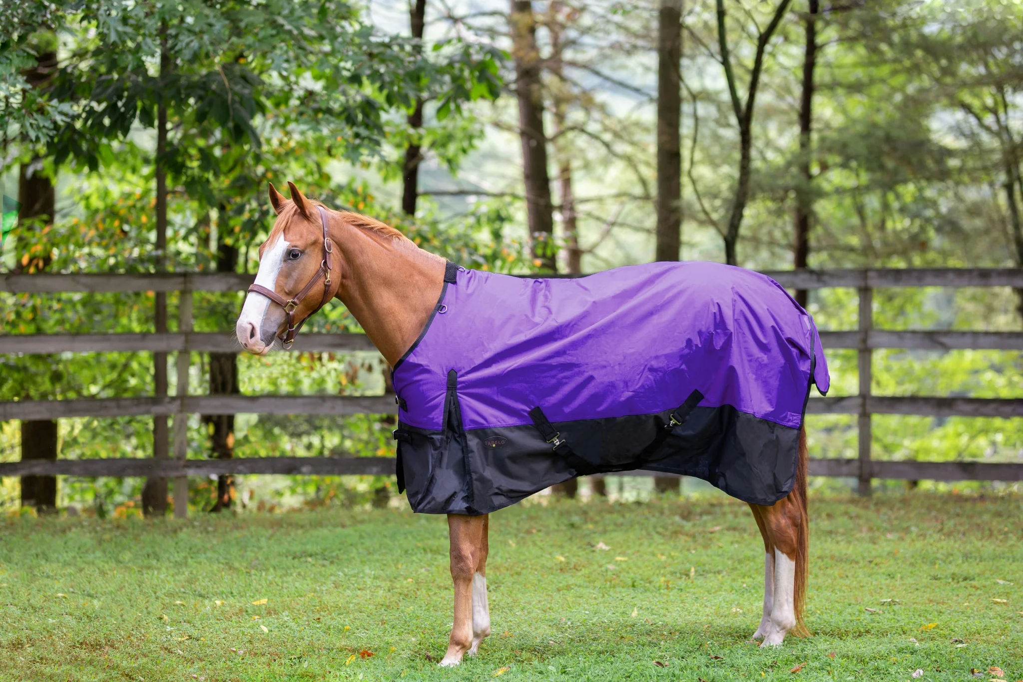 Tabelo Waterproof 1200D T/O Blanket
