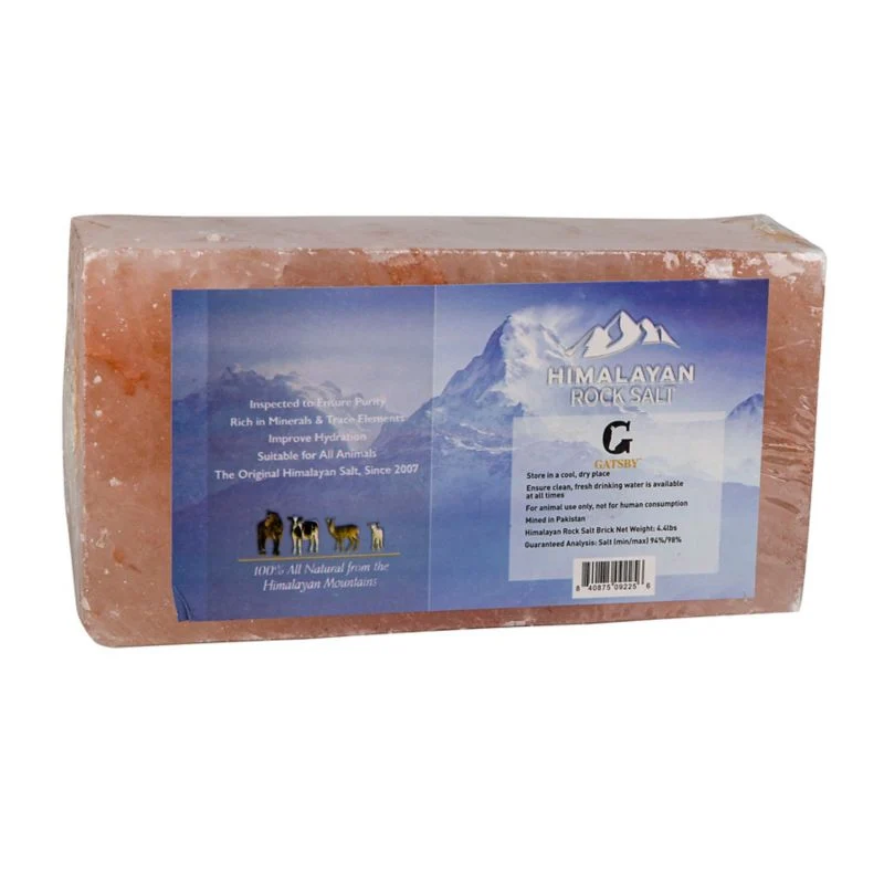 14463-gatsby-himalayan-salt-block-3.webp Gatsby Himalayan Salt Block