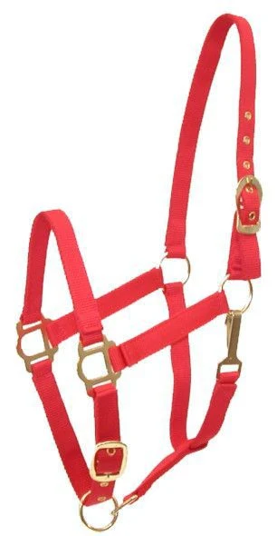 14477-gatsby-adj-nylon-halter-snap-1.webp Gatsby Adj Nylon Halter/Snap