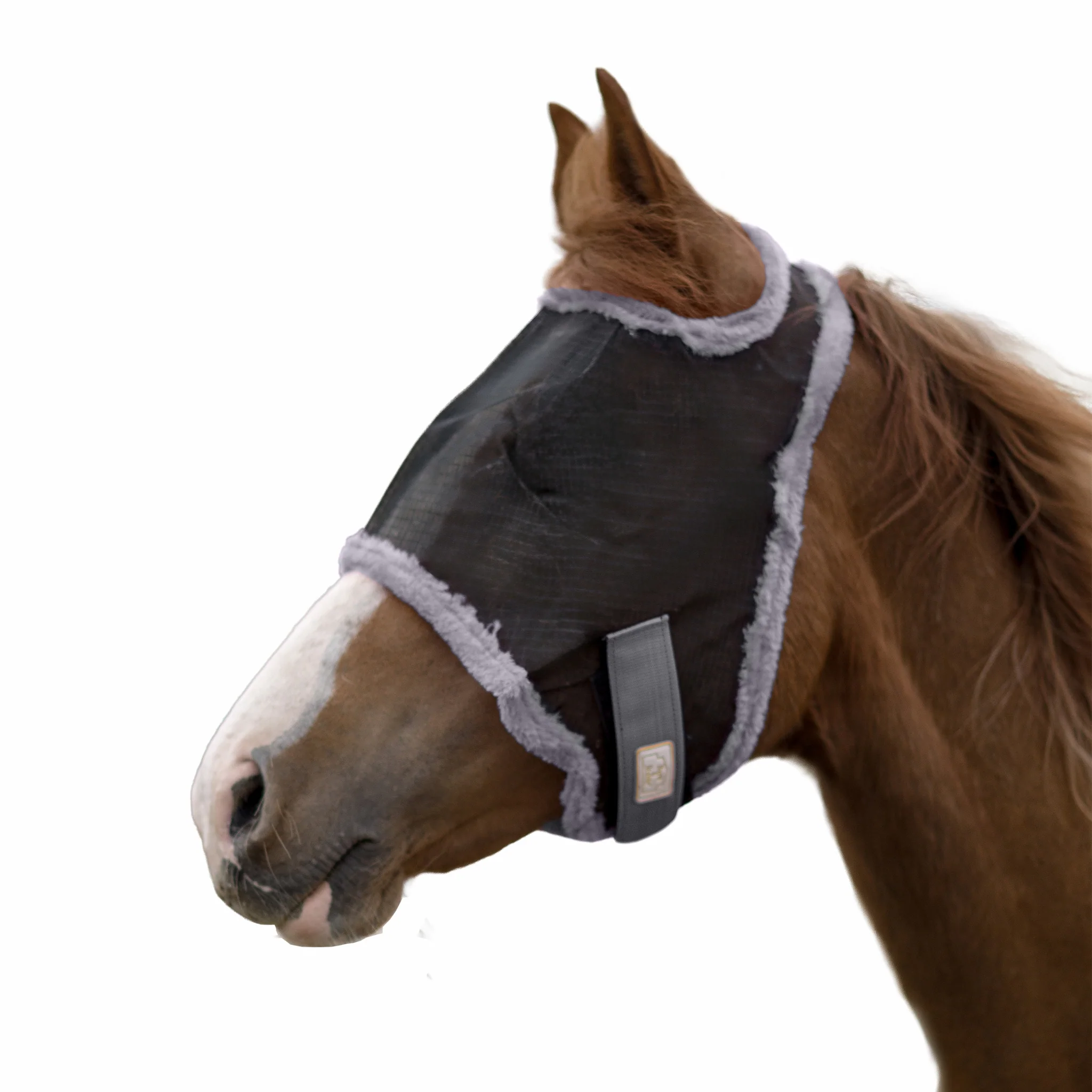 1457-barn-stable-fly-mask-without-ears-fleece-trim-2.webp BARN & STABLE Fly Mask without Ears & Fleece Trim