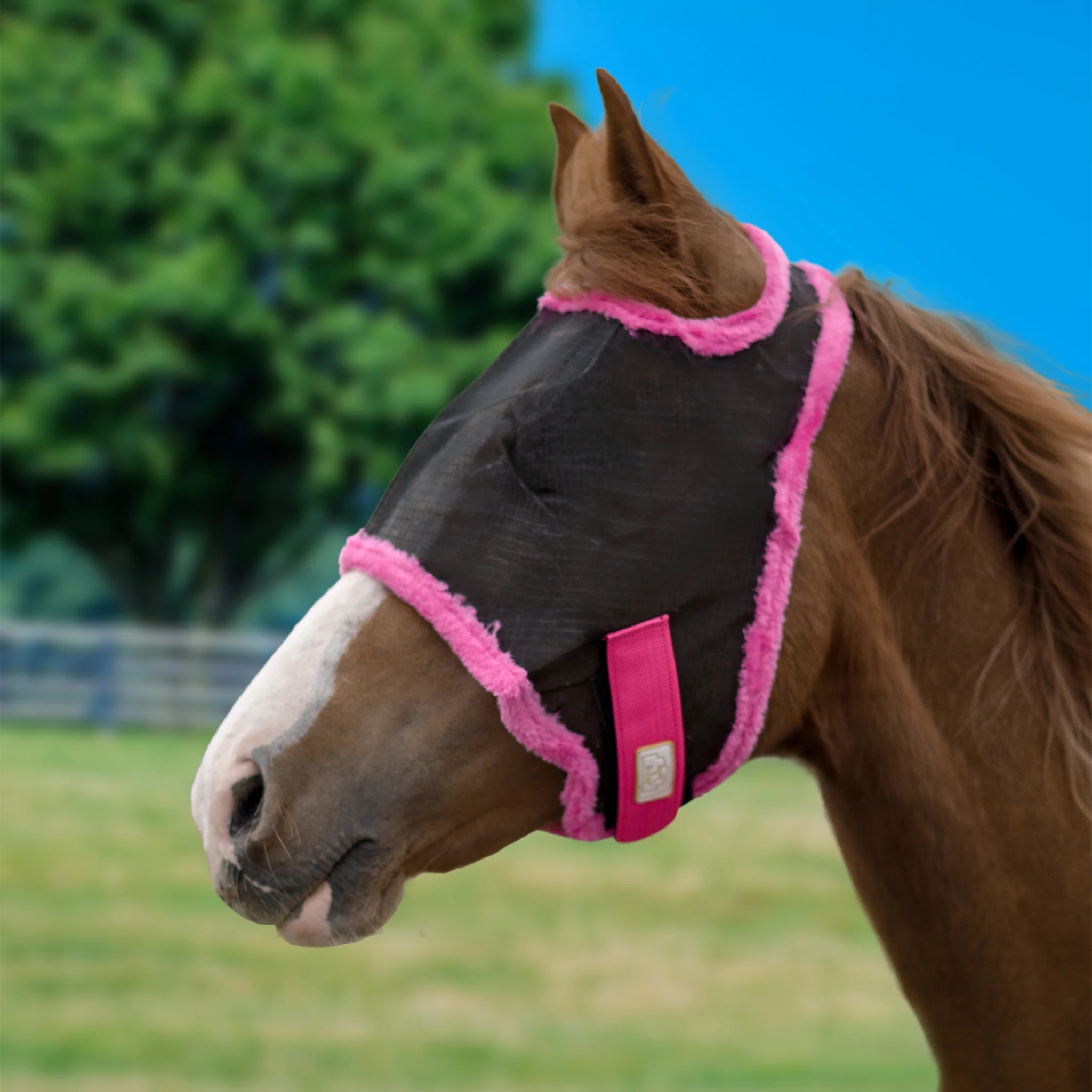1457-barn-stable-fly-mask-without-ears-fleece-trim-3.webp BARN & STABLE Fly Mask without Ears & Fleece Trim