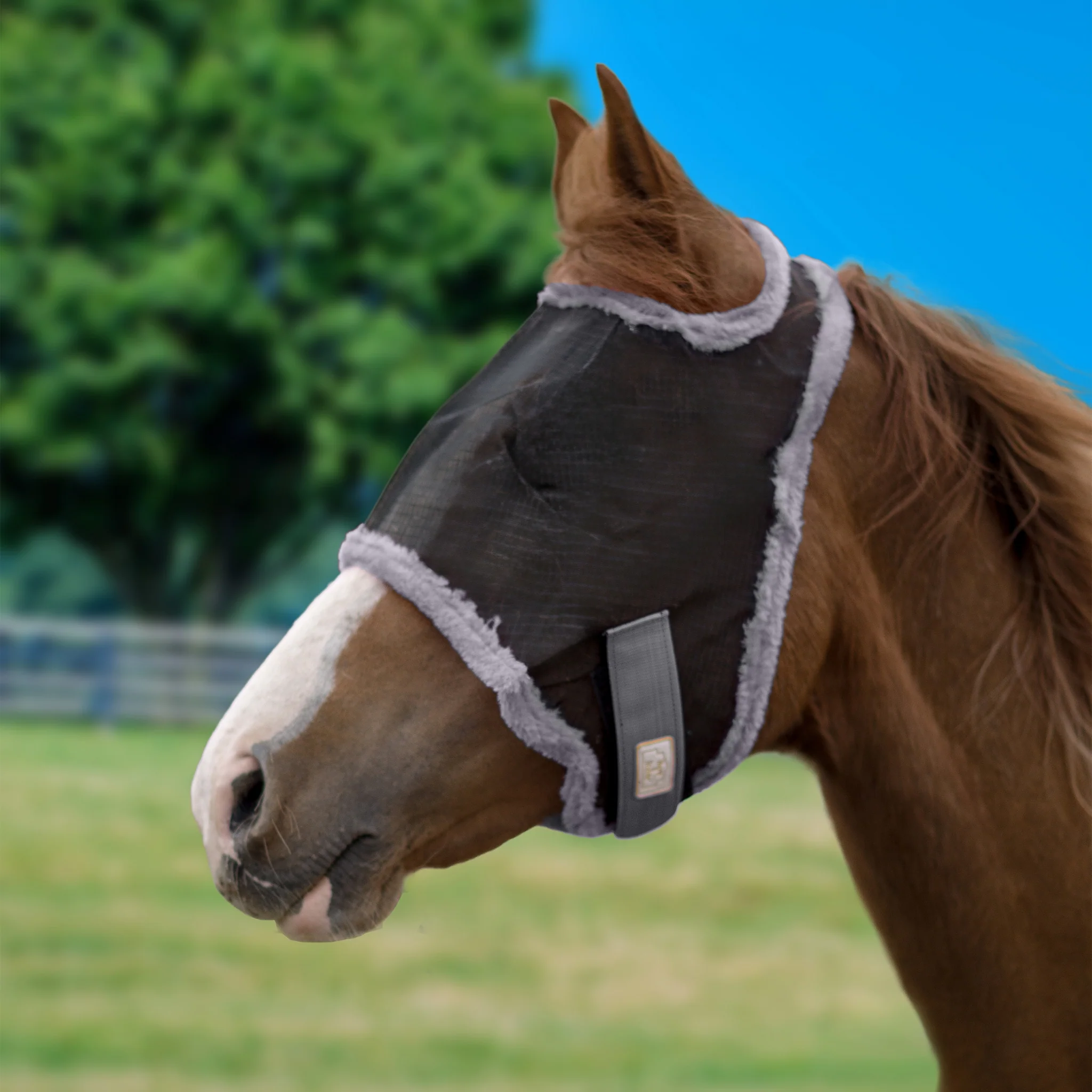 1457-barn-stable-fly-mask-without-ears-fleece-trim-4.webp BARN & STABLE Fly Mask without Ears & Fleece Trim